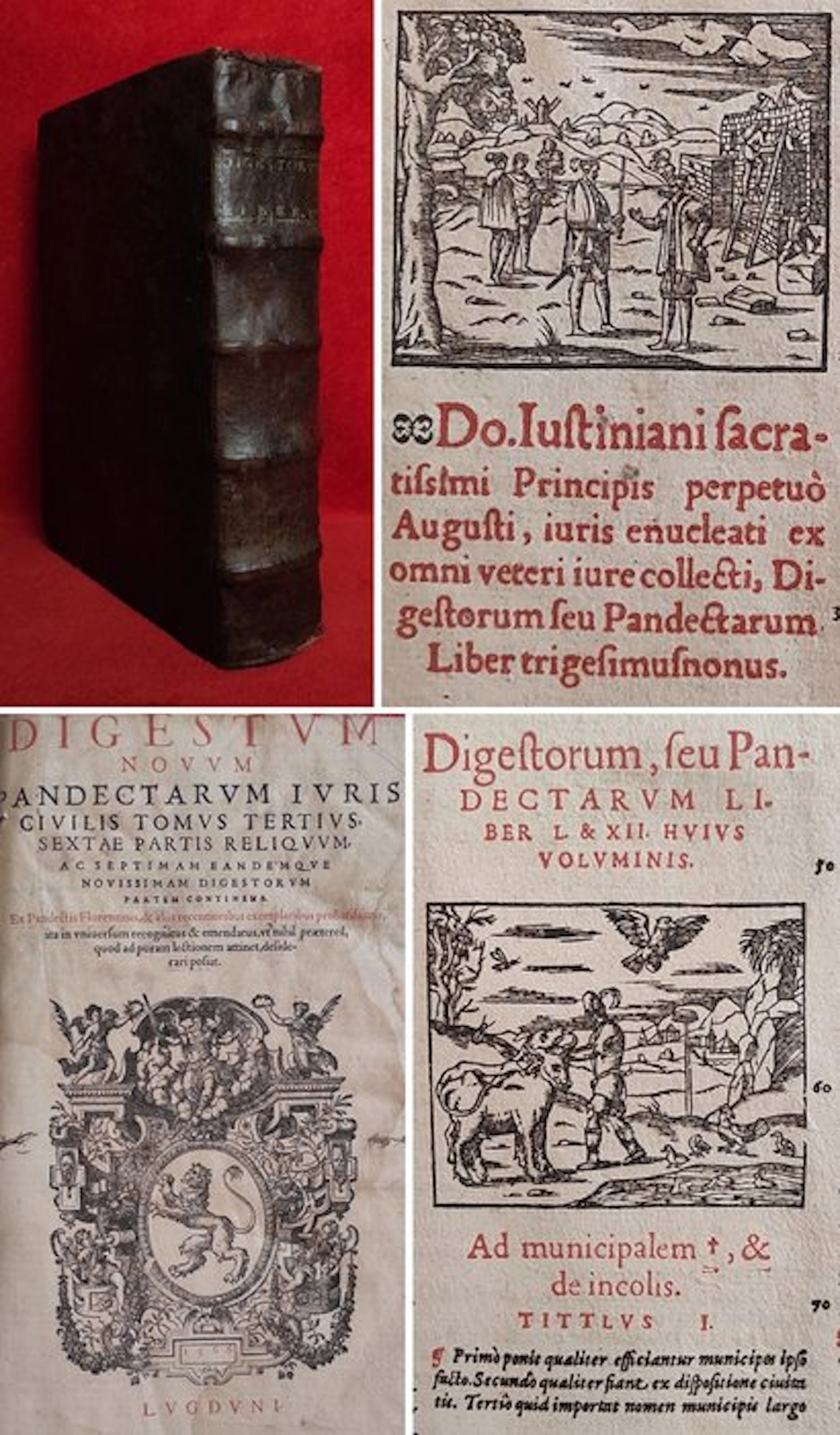 [Folio 40 cm