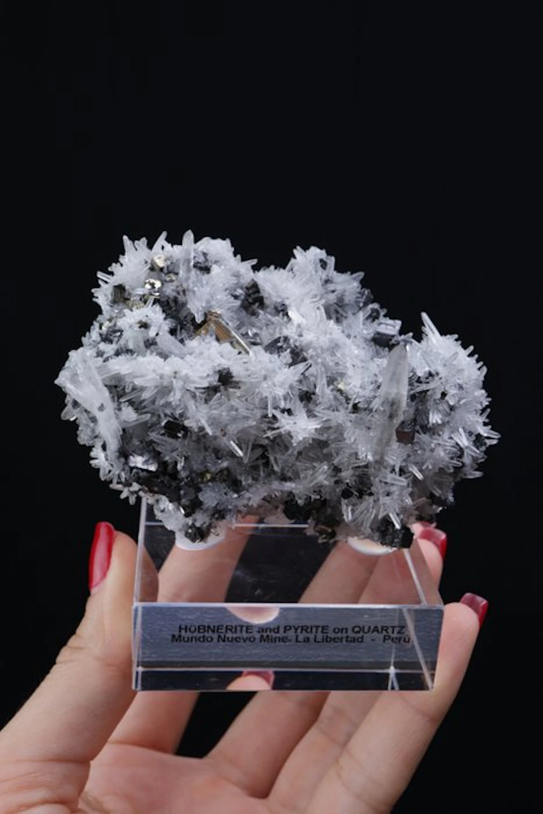 Exceptional group of Quartz crystals with Pyrite and...