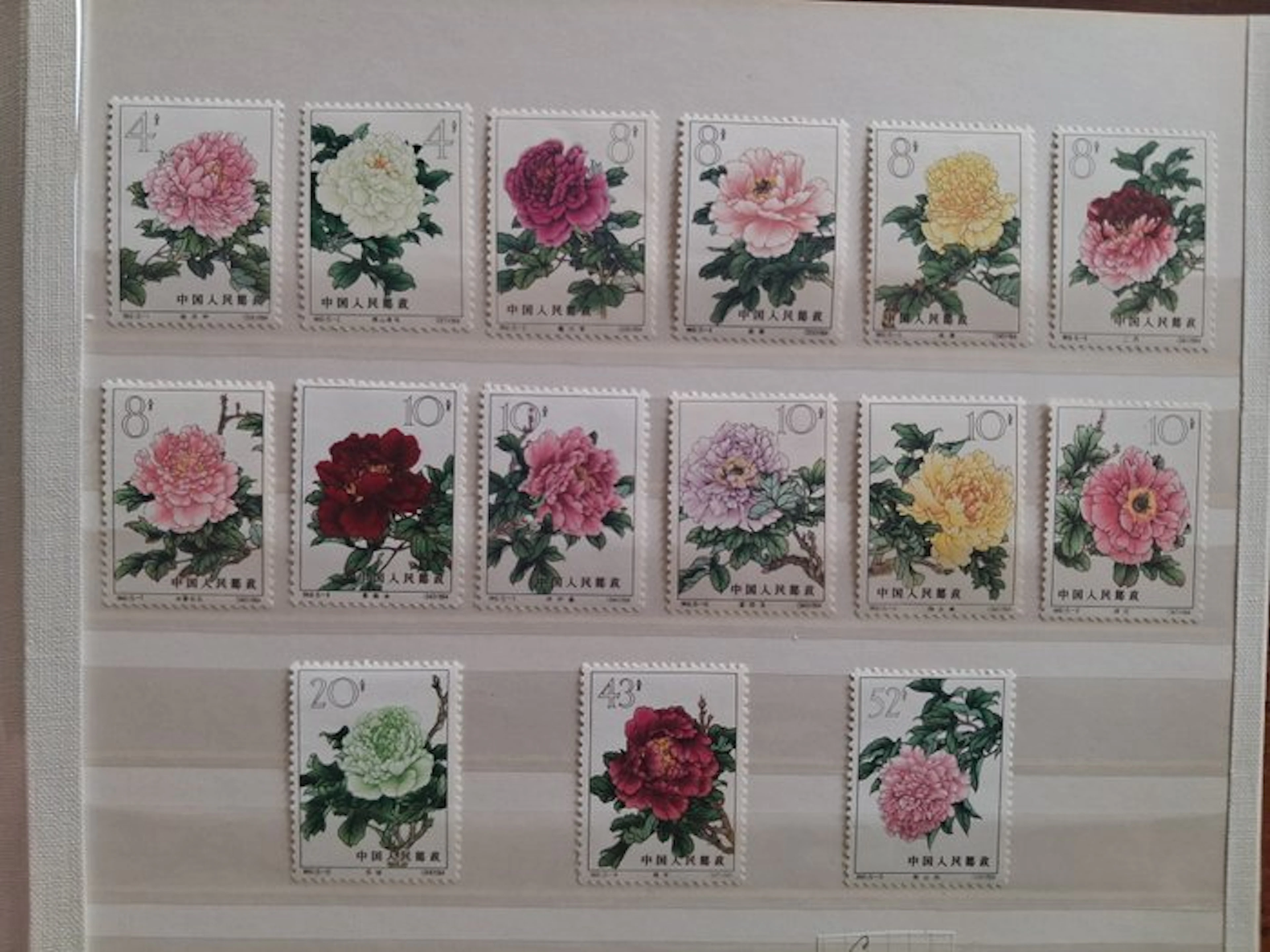 China 1964 - Peony collection! Series: 20 photos