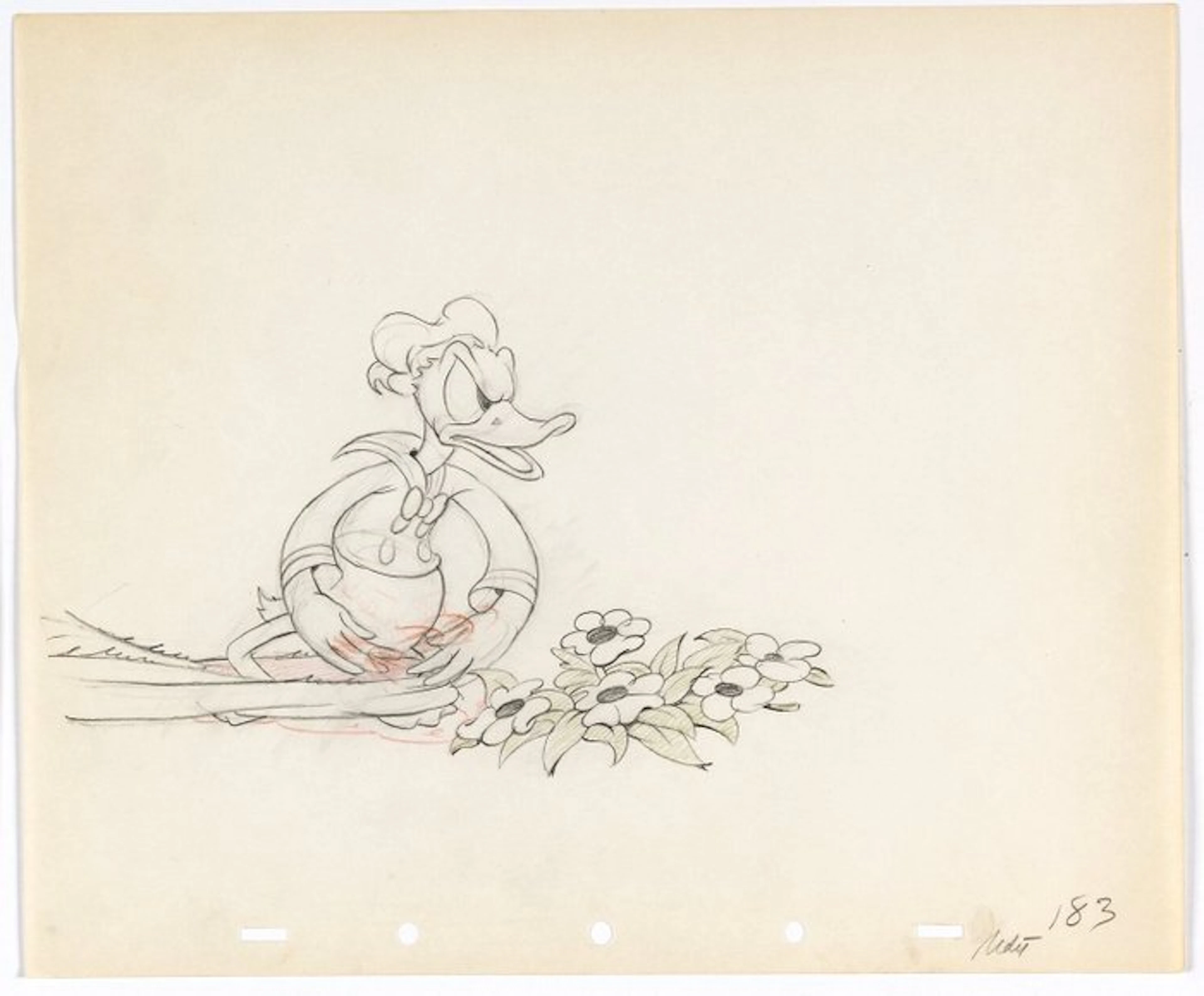 Walt Disney - 1 Original preliminary drawing - Donald...
