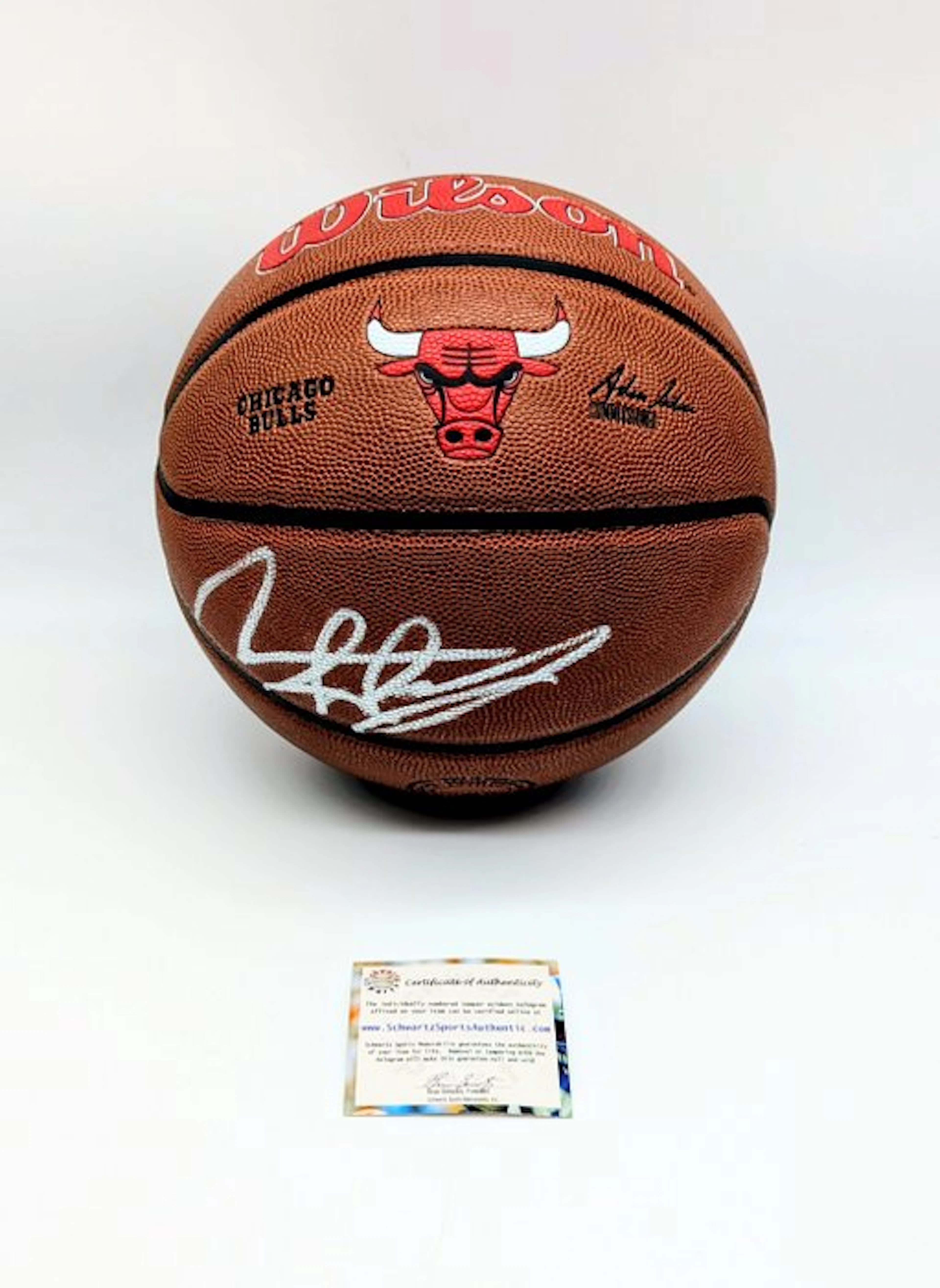Chicago Bulls - NBA - Dennis Rodman - Basketball - ball