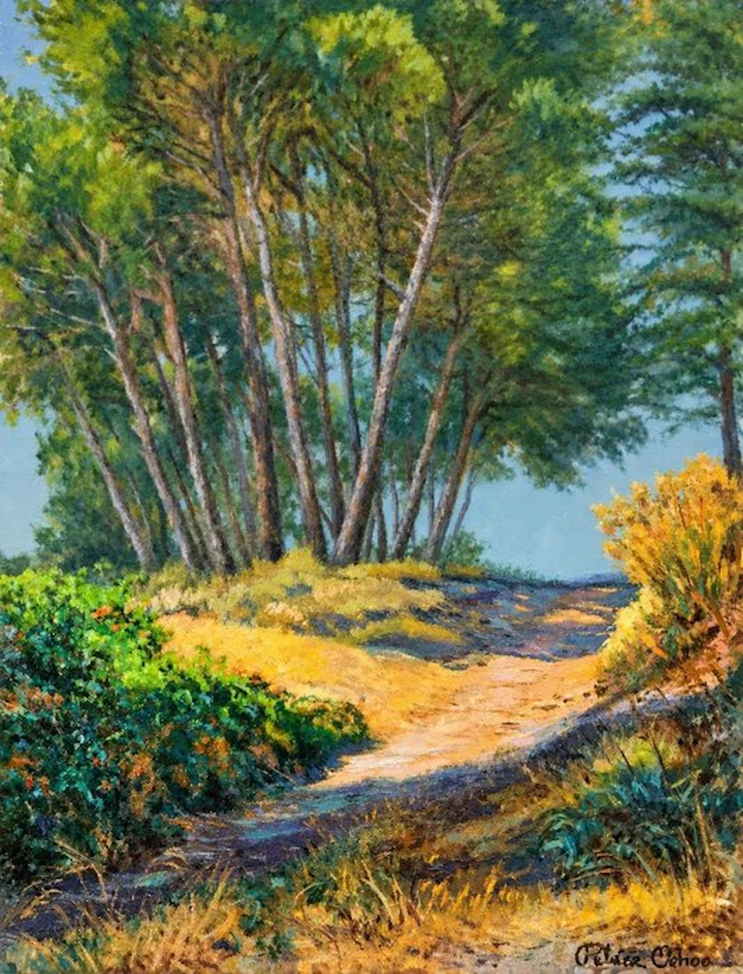 Peláez Ochoa (1955) - Pinos en Can Cassola "NO Reserve"