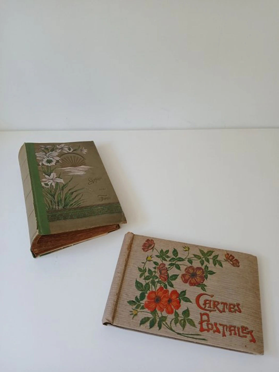 Germany, France - Flowers - Postcard album (2) - 1900-1920