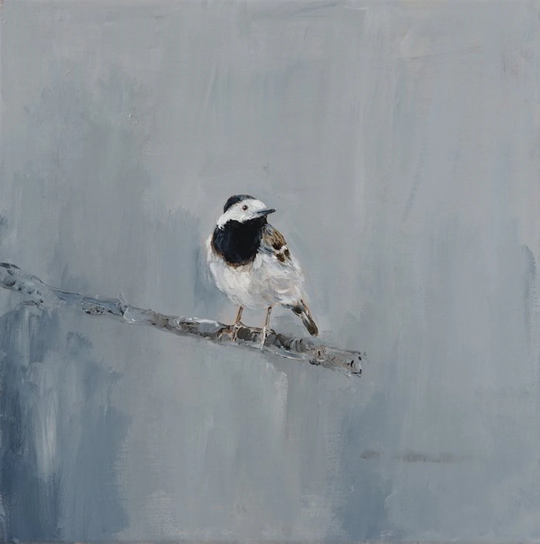 Matthieu van Riel - Kwikstaart