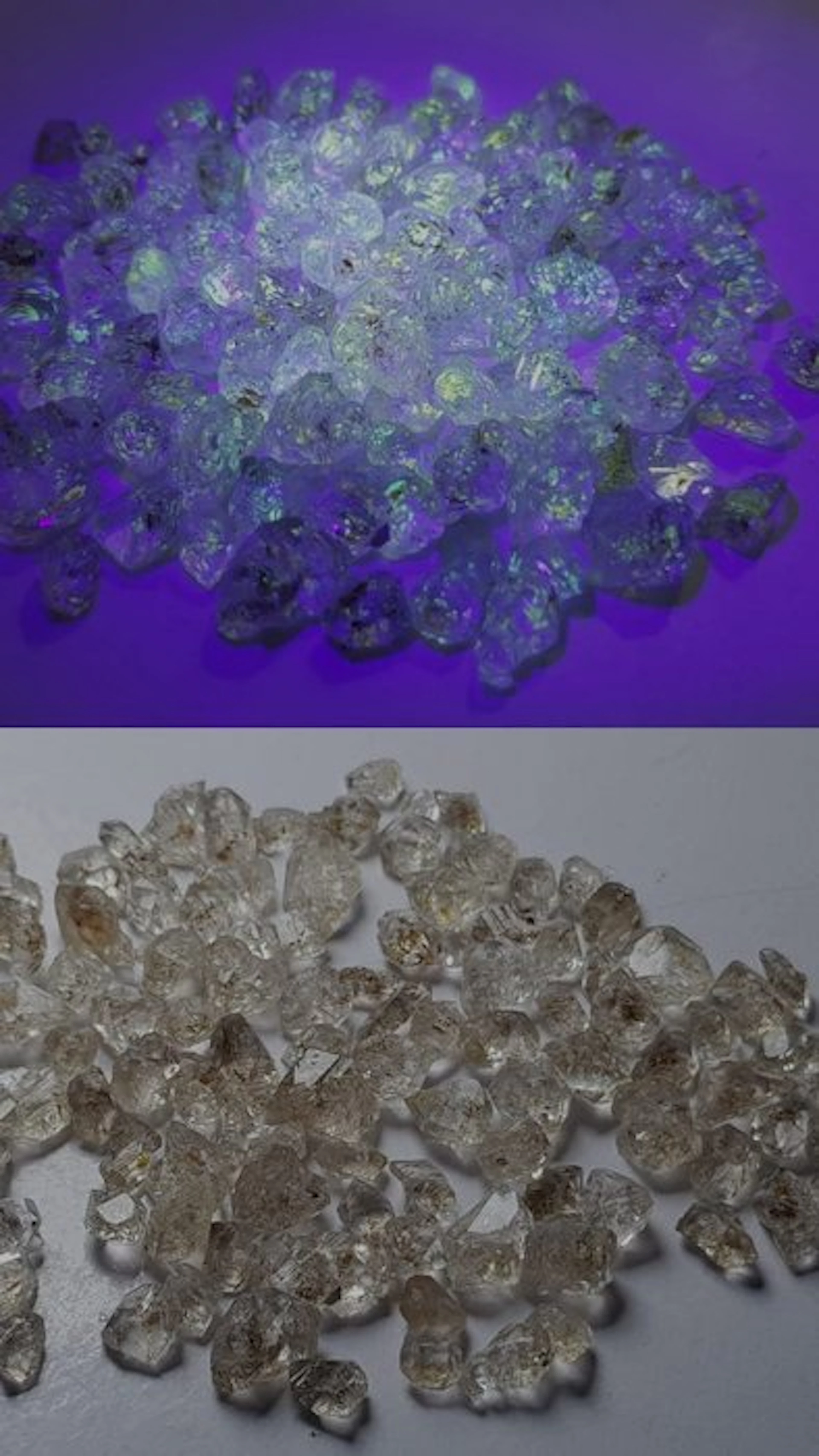 No reserve florescent petroleum Quartz Crystals- 30 g - (106)