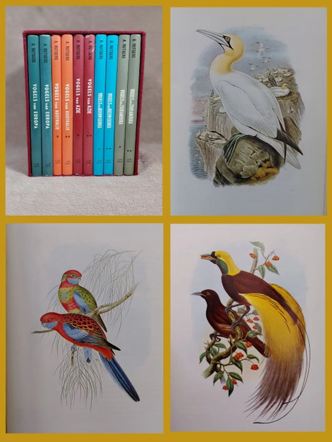 John Gould/A