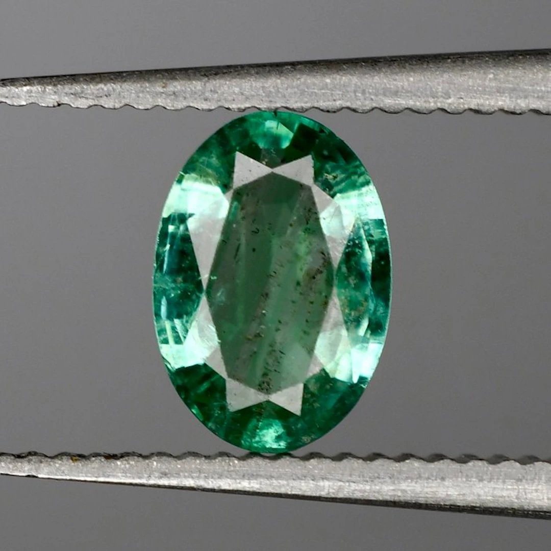No reserve price Green Emerald - 0.63 ct - International...