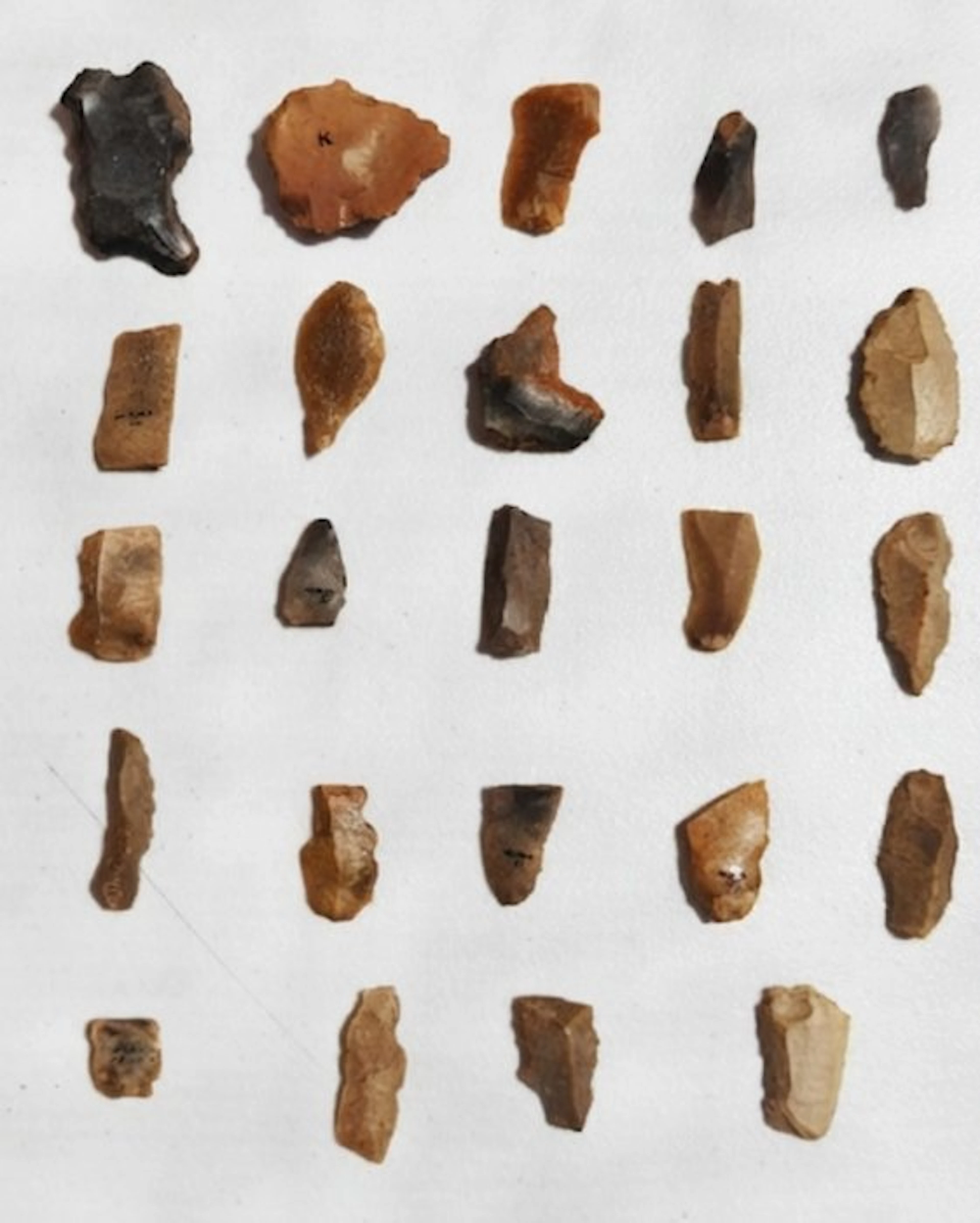 Mousterian Lithic Stones (notch scrapers