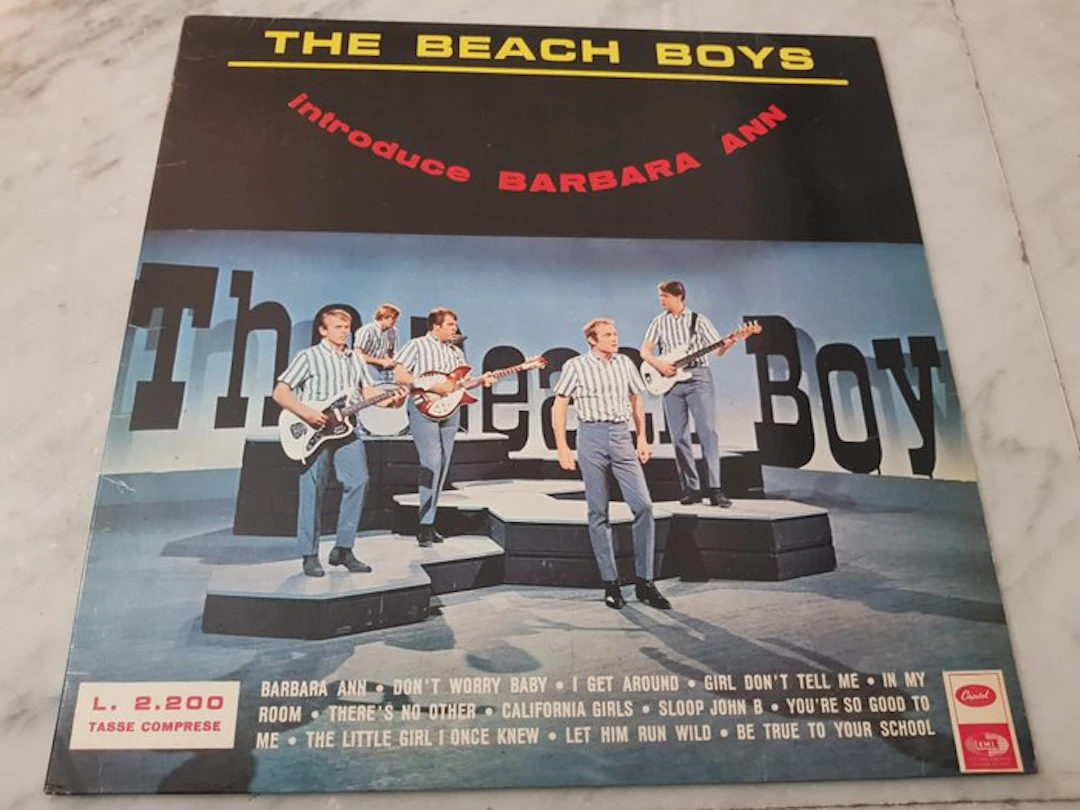 The Beach Boys - Introduce Barbara Ann - LP - 1st Pressing - 1966