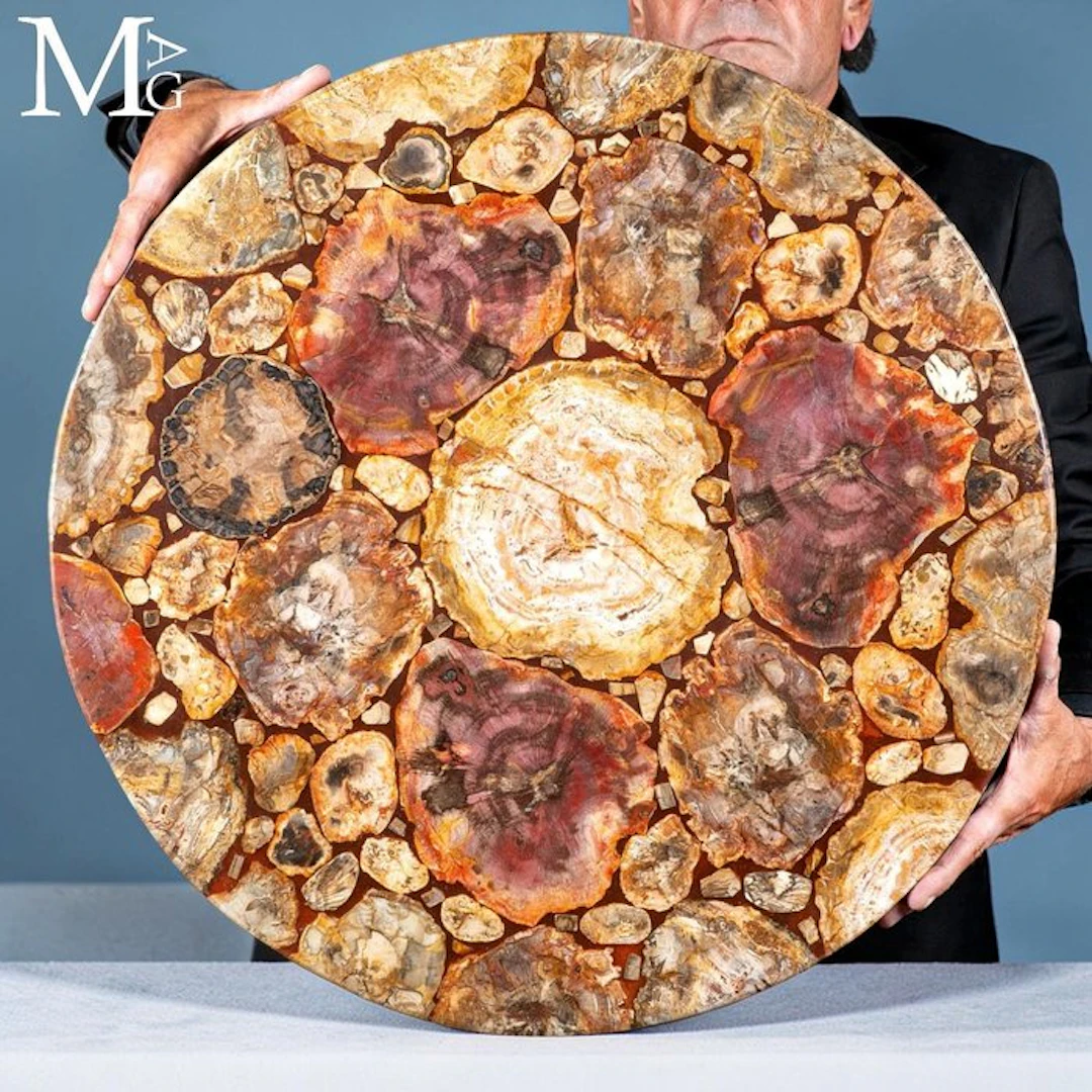 Lustrous Polished Petrified Araucaria Wood with Striking...