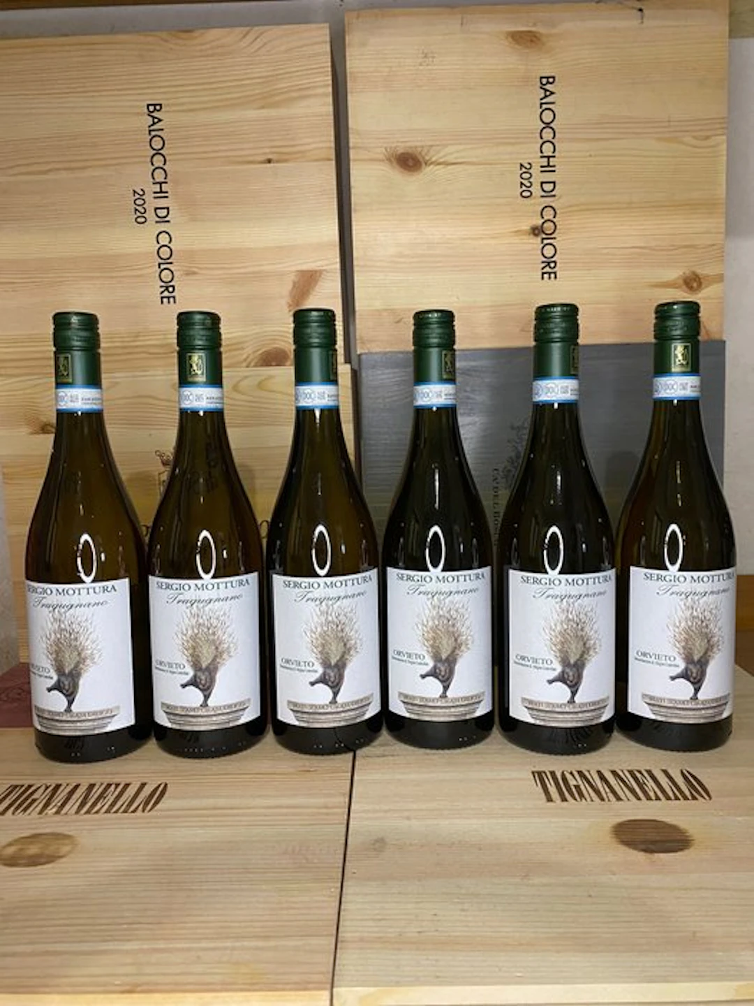 2024 Sergio Mottura Tragugnano - Lazio - 6 Bottles (0.75L)