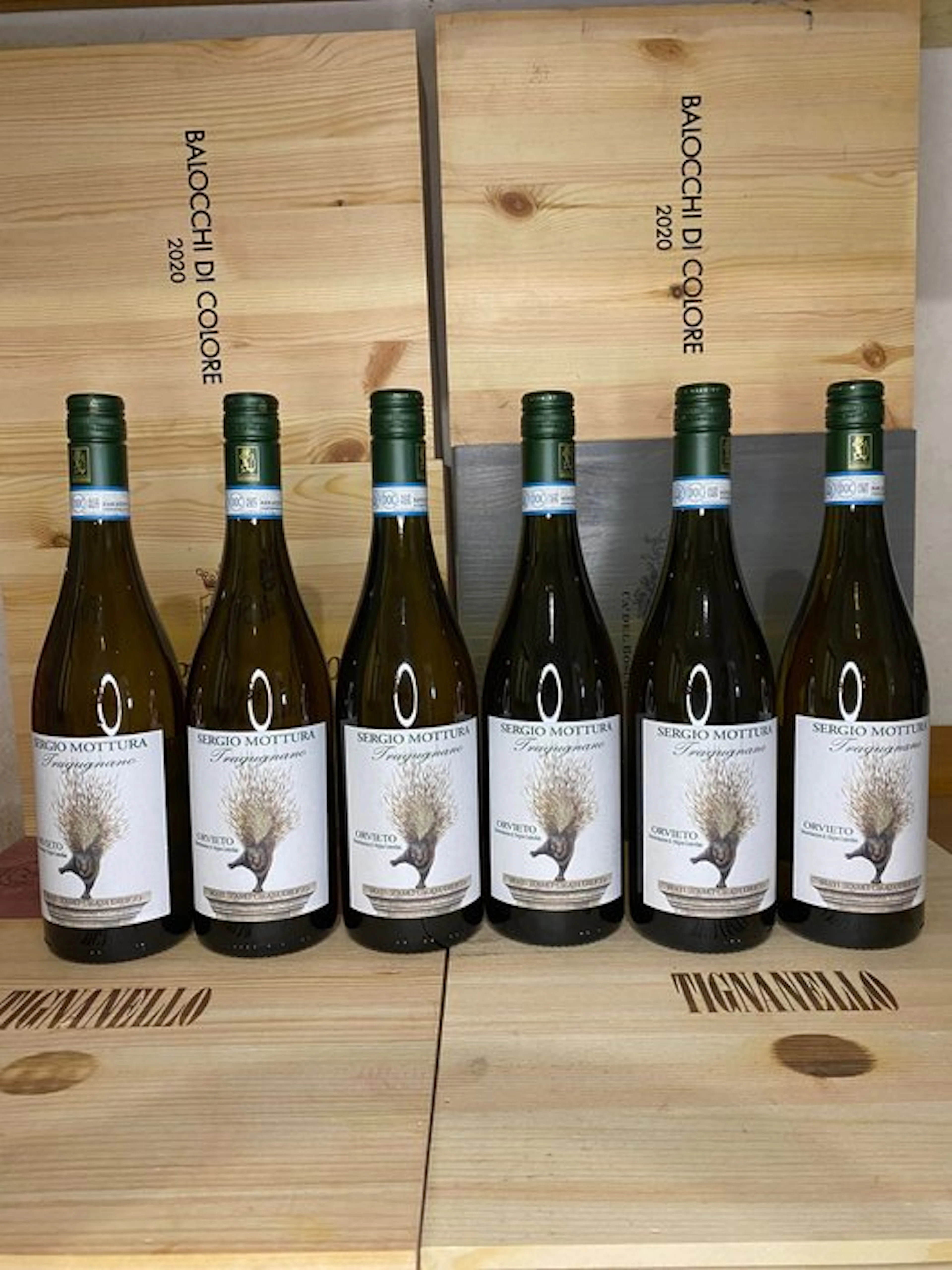 2024 Sergio Mottura Tragugnano - Lazio - 6 Bottles (0.75L)