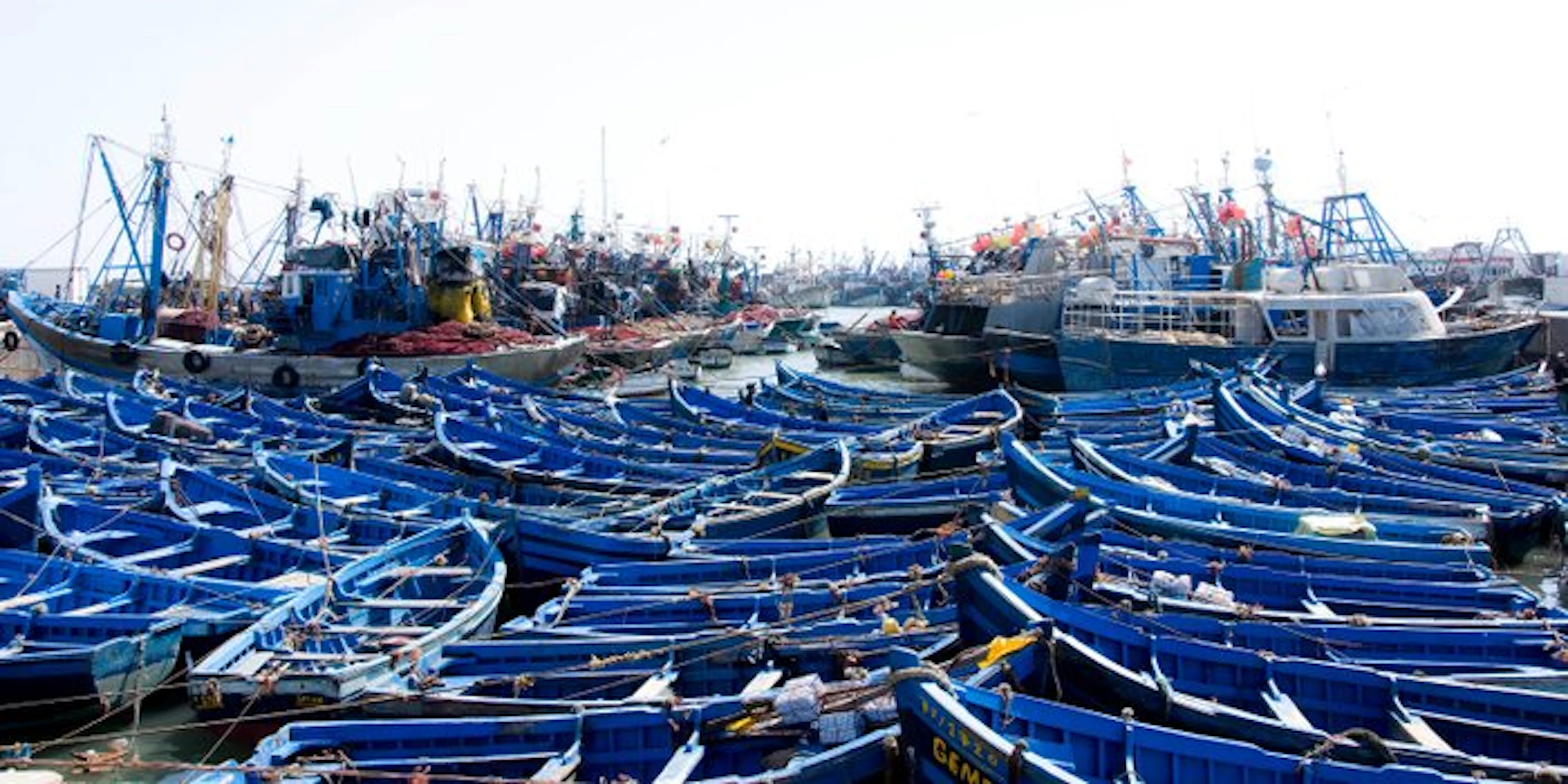 David Law - Essaouira