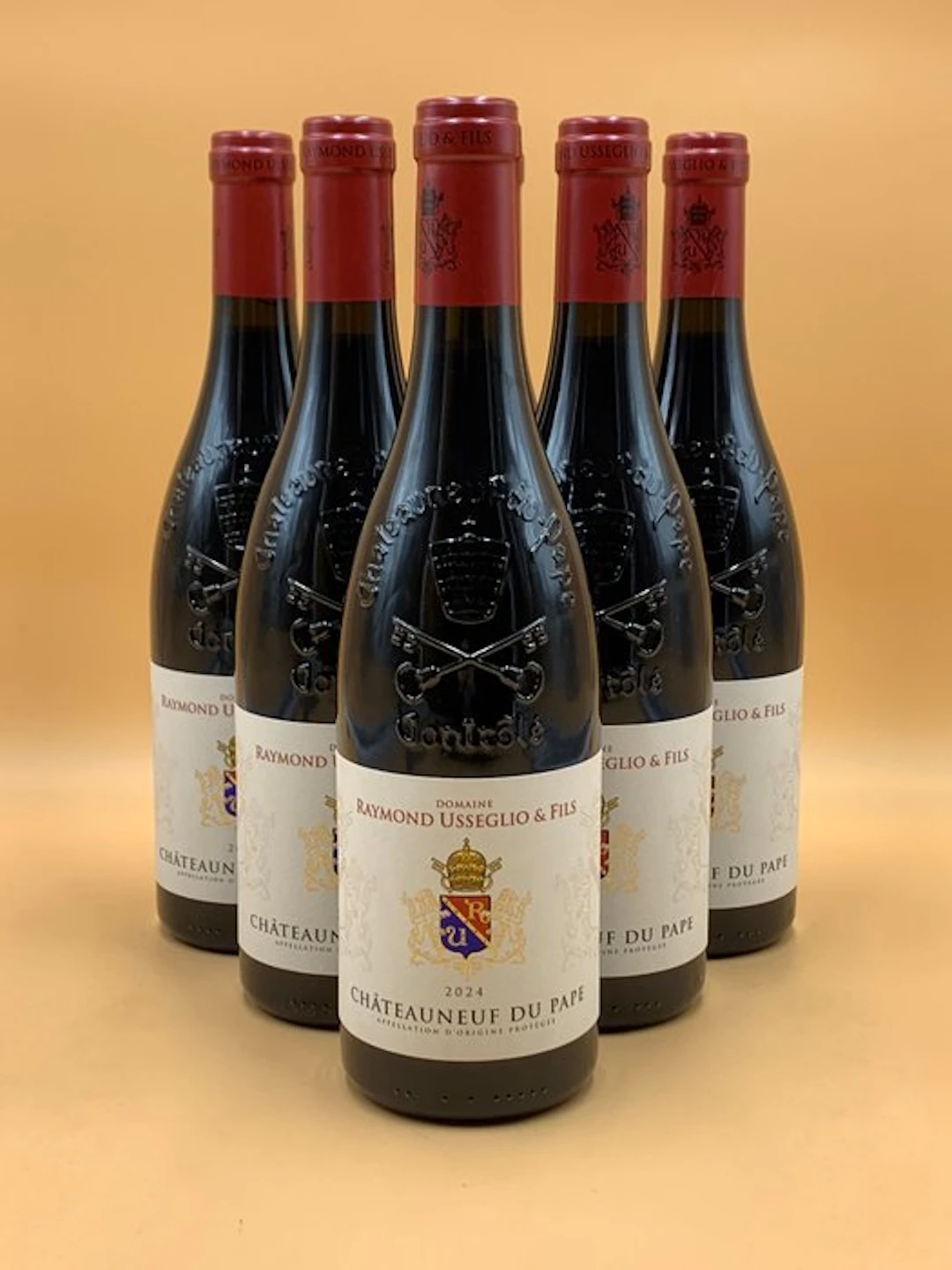 2024 Raymond Usseglio - Châteauneuf-du-Pape - 6 Bottles (0.75L)