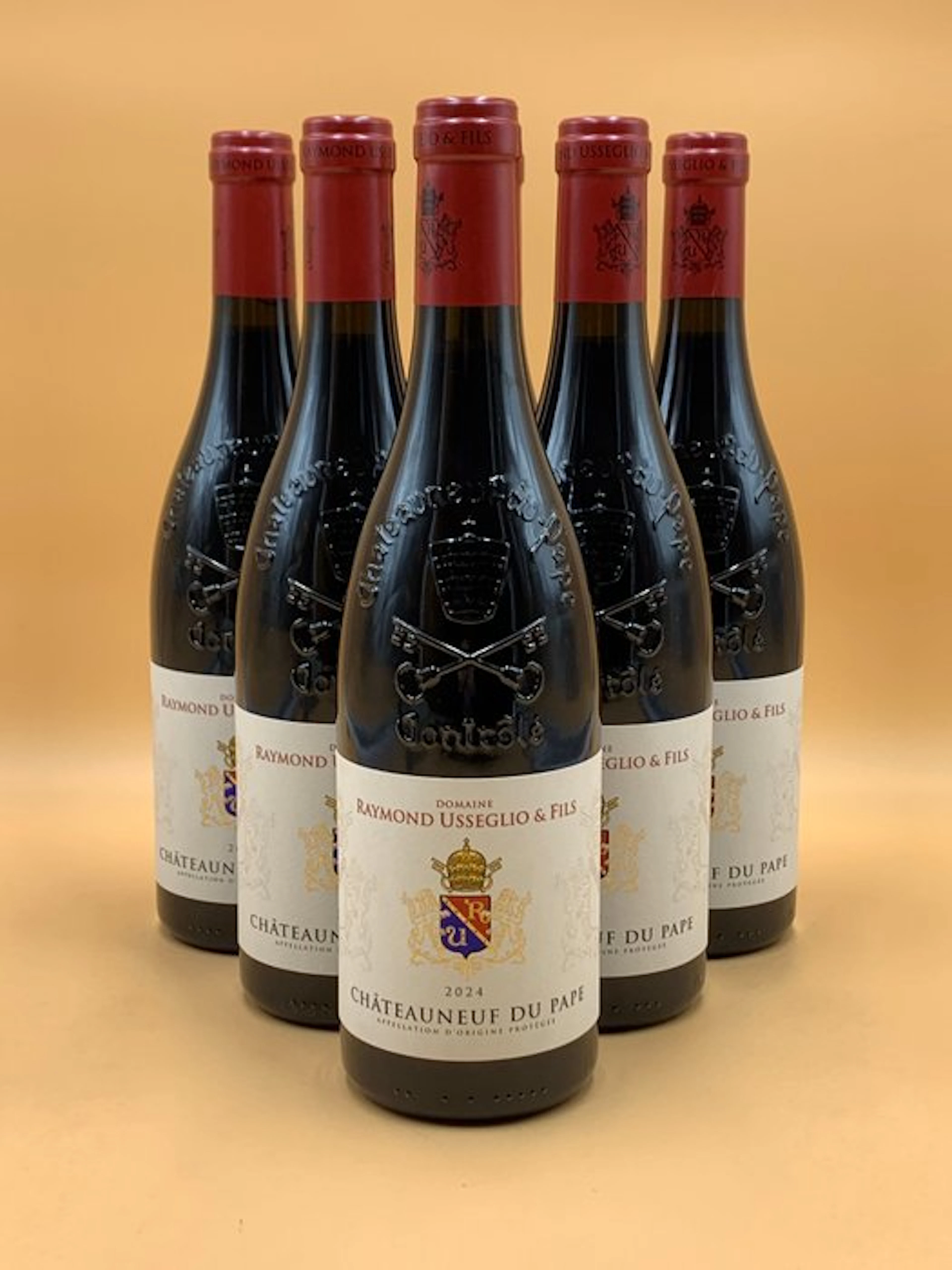 2024 Raymond Usseglio - Châteauneuf-du-Pape - 6 Bottles (0.75L)