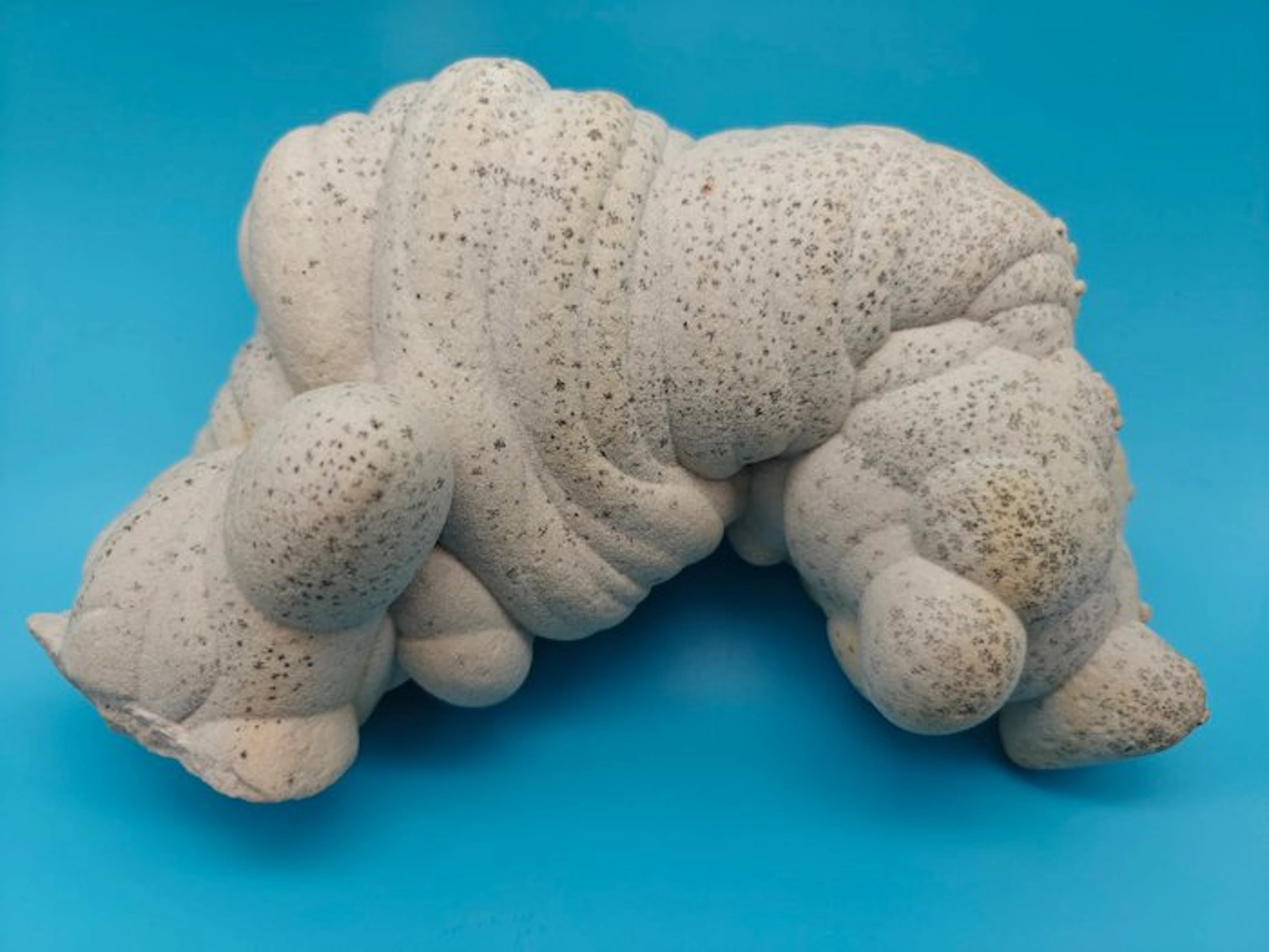 Gogotte natural and rare - Height: 26 cm - Width: 18.5 cm- 3.2 kg - (1)