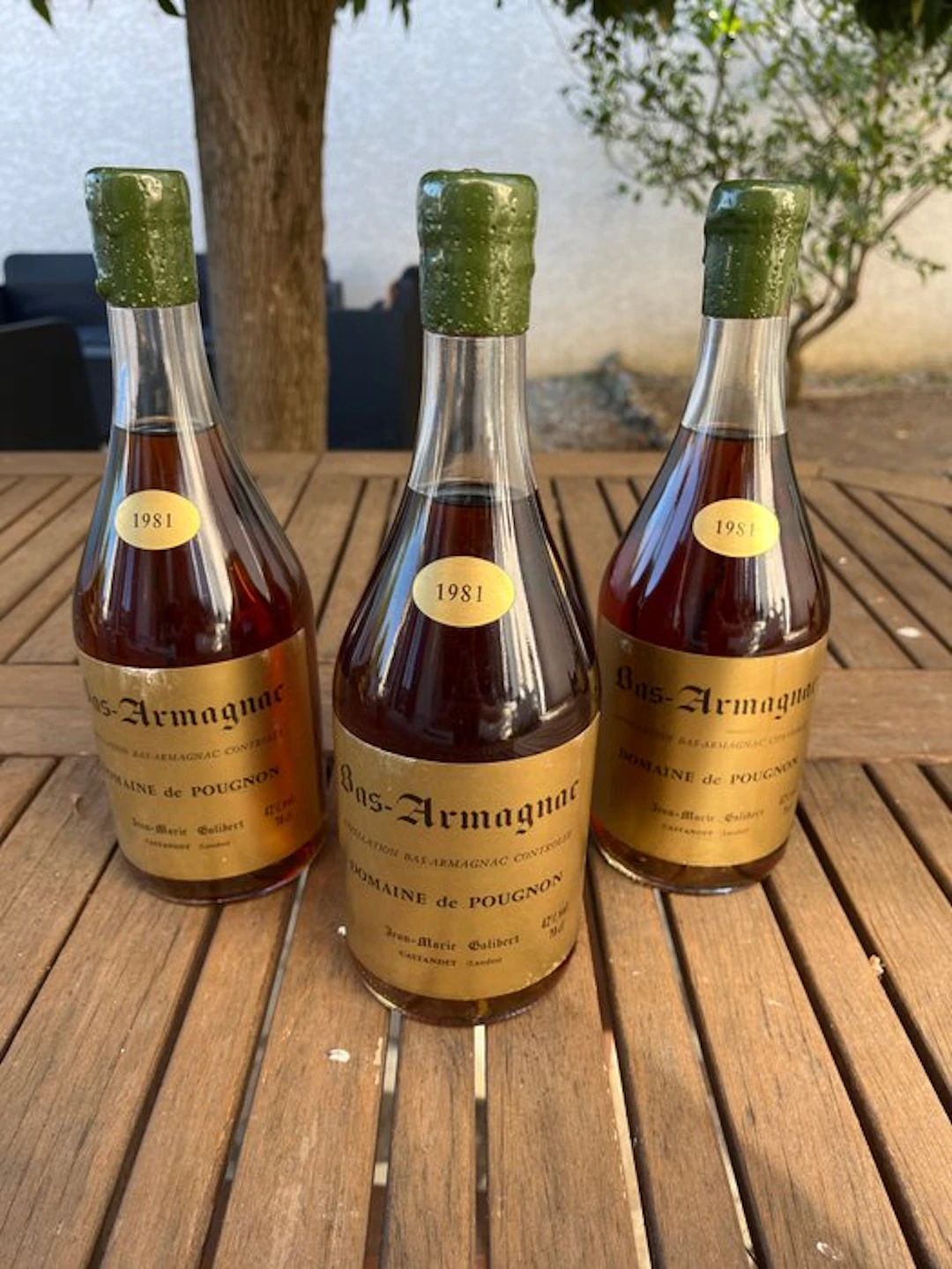 Domaine de Pougnon 1981 Jean-Marie Galibert - Bas Armagnac millésime - b
