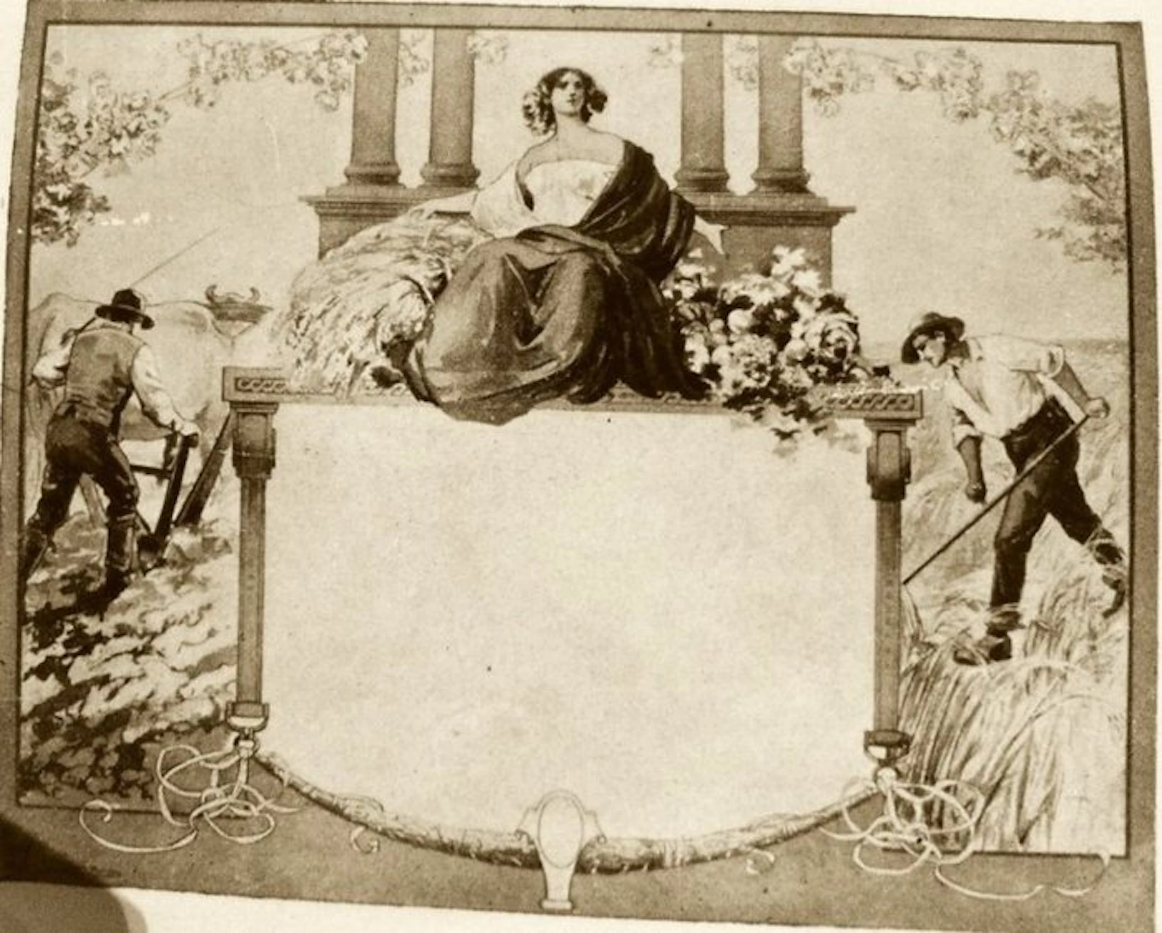 Anonimo - Lotto di Campionari per Modelli Tipografici - 1910