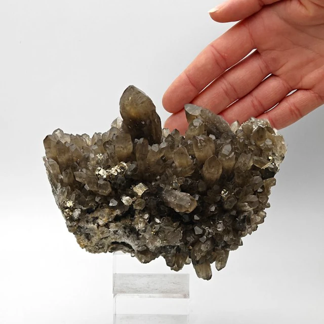 Grosso, smoky quartz artichoke with golden pyrite