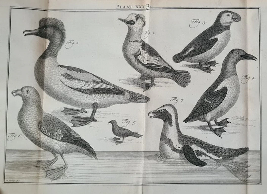 Carl Linnaeus - Natuurlyke Historie