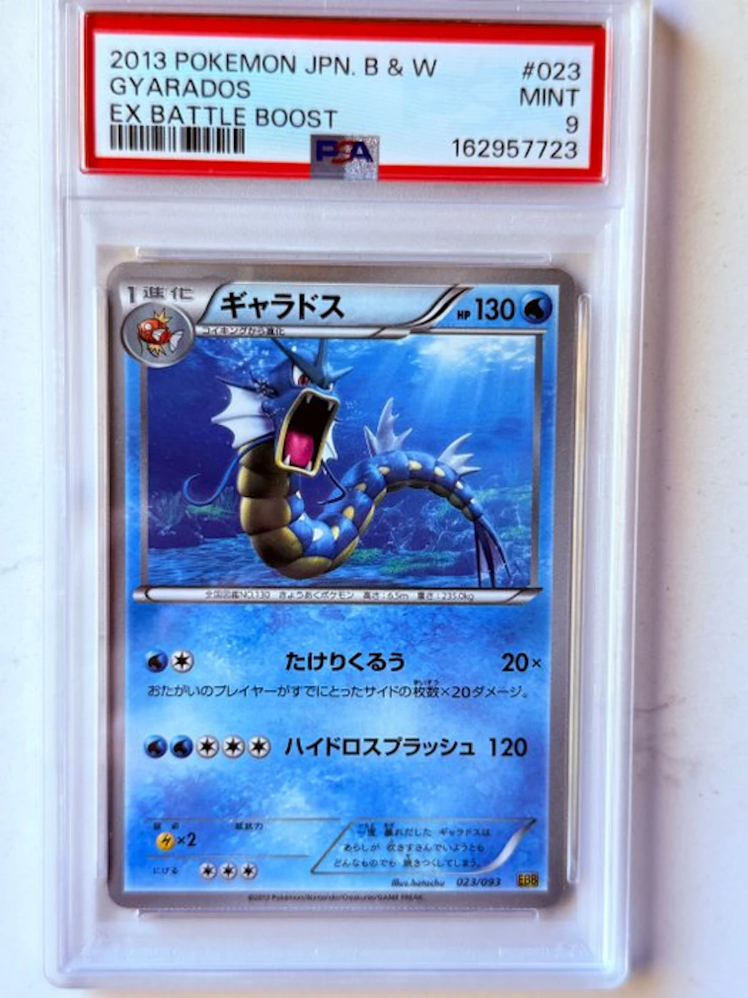 Pokémon - 1 Graded card - Gyarados 023/093 Foil - PSA 9 - Black & White