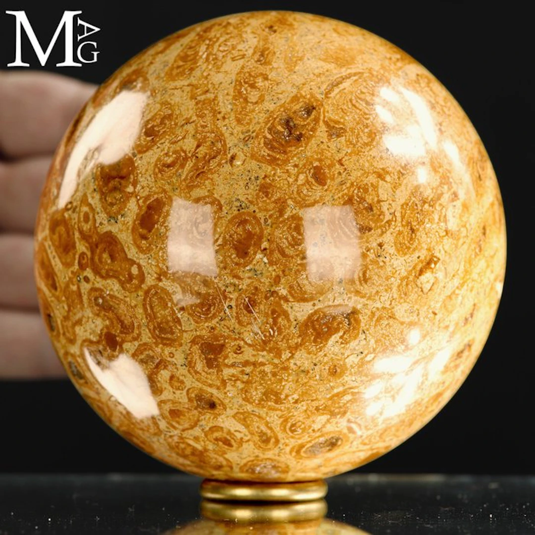 Fossil Coral Sphere - Fossil Sphere in Madreporic Coral –...
