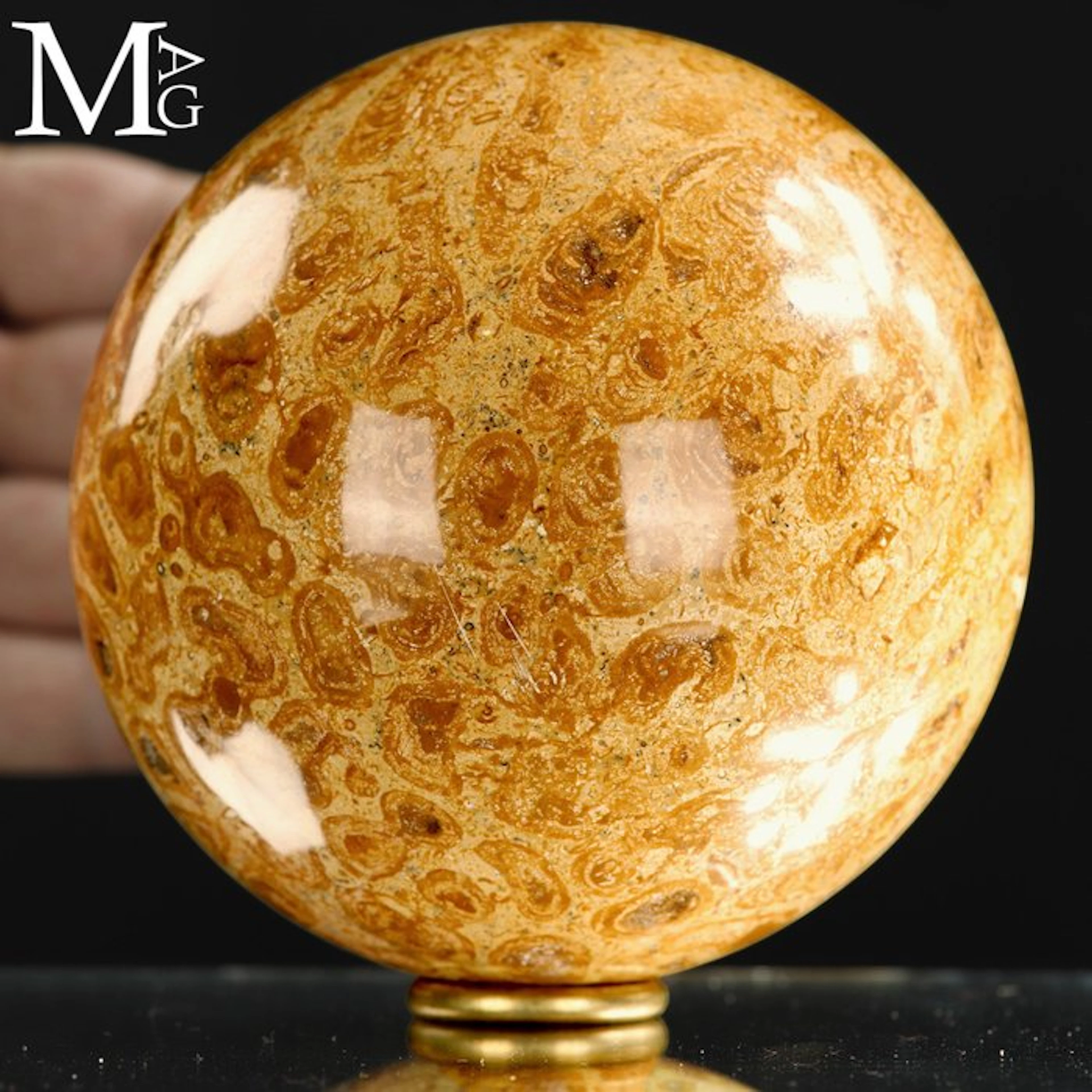 Fossil Coral Sphere - Fossil Sphere in Madreporic Coral –...