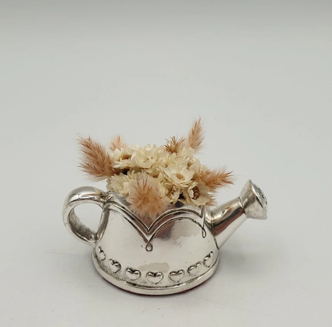 Innaffiatoio rivestito in Argento - Figurine - Silver-plated