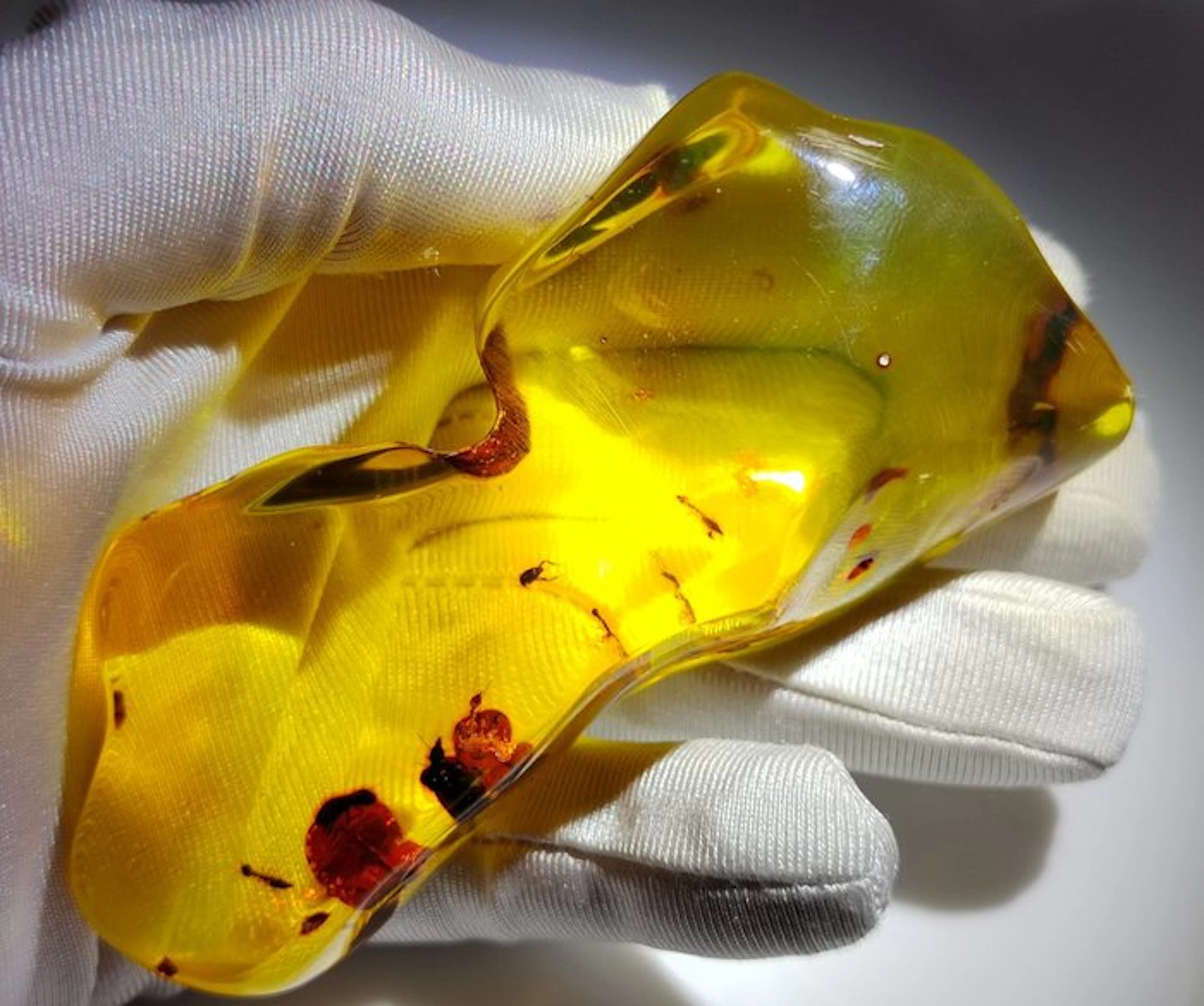FOSSlL-AMAZING!! Dominican amber-Museum- 92 g