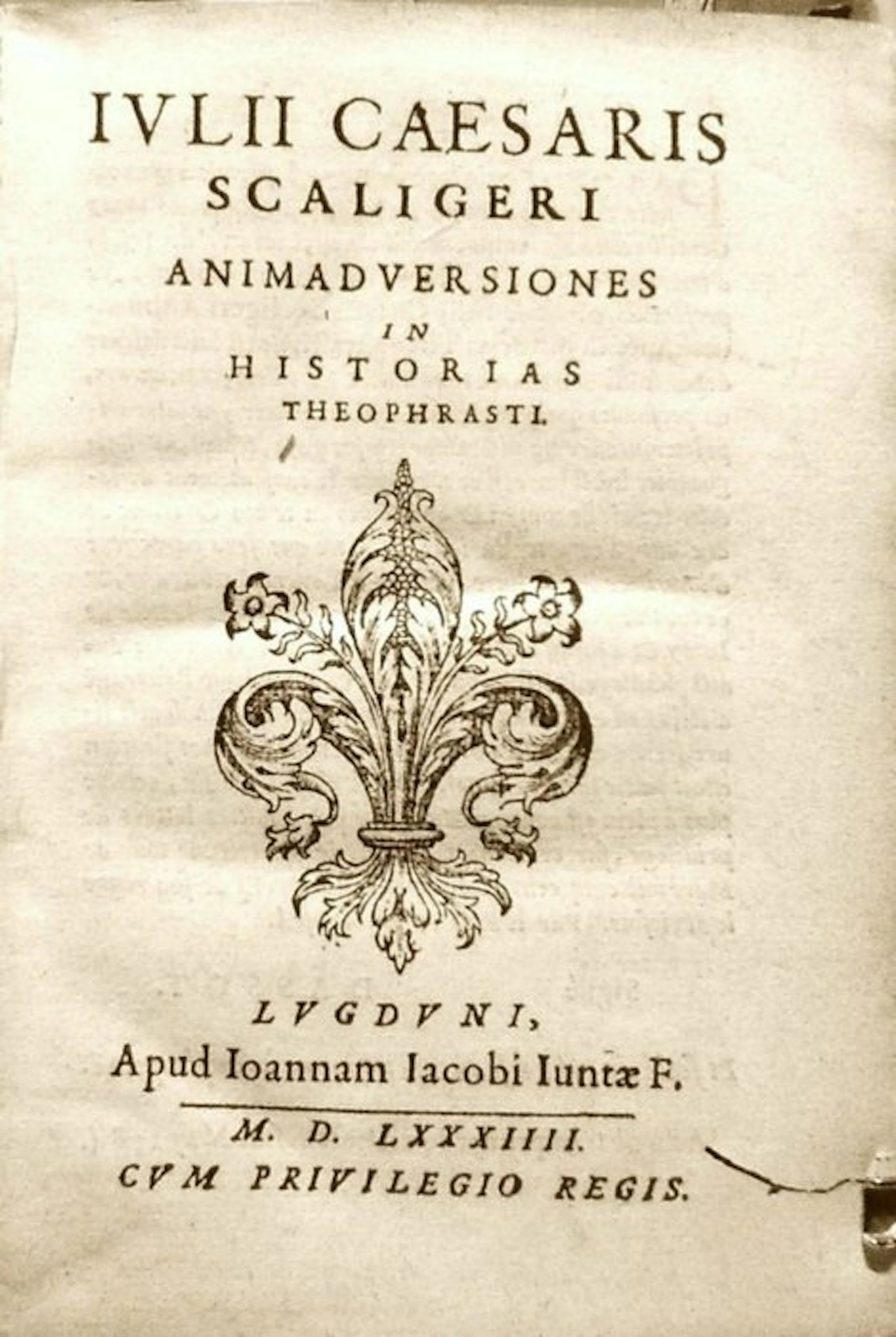 Scaligero Giulio Cesare. - Commentarii Historia Plantarum Theophrasti - 1584