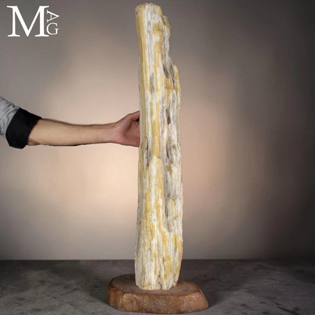 Ancient Petrified Wood Trunk Segment - Natural Form...