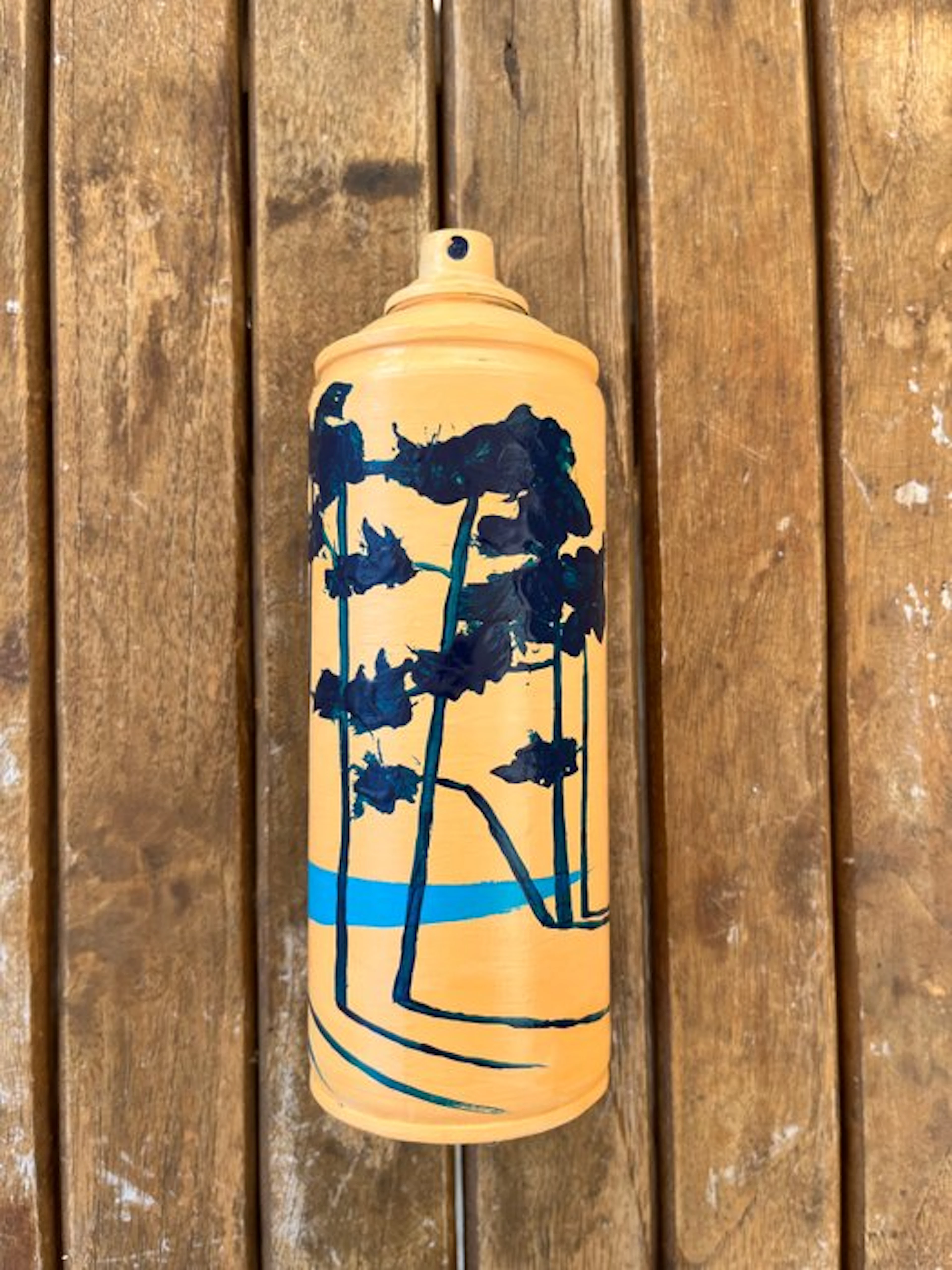 frederic Cadiou (1980) - Cap Coz bomb’art