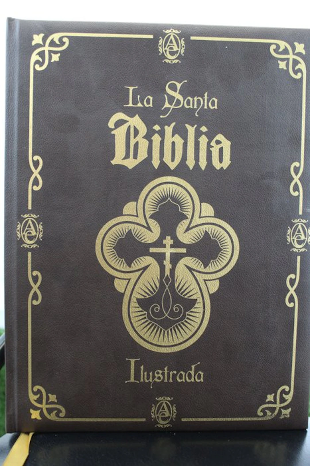 La Santa Biblia Ilustrada - 2016