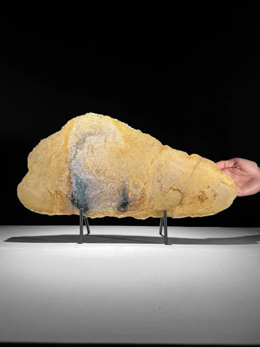 C - Stunning Large Slice of Petrified Wood on a custom...