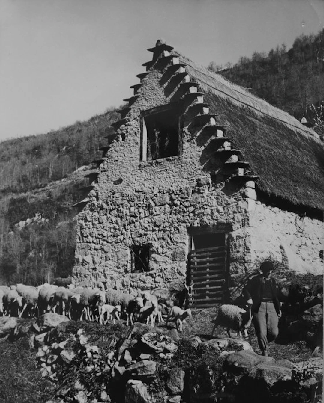 Jean Ribiere (1922 - 1989 - Transhumance devant une...