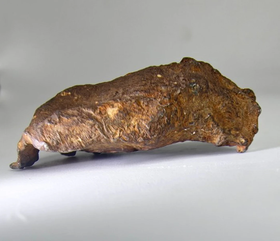 Gebel Kamil meteorite Ungrouped, iron, No Reserve Price. - 35 g - (1)