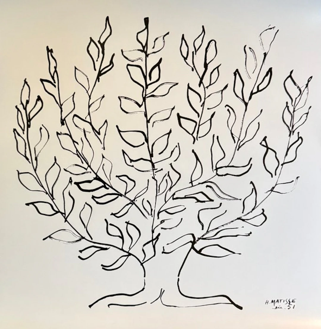 Henri Matisse (1869-1954) - "Le Platane