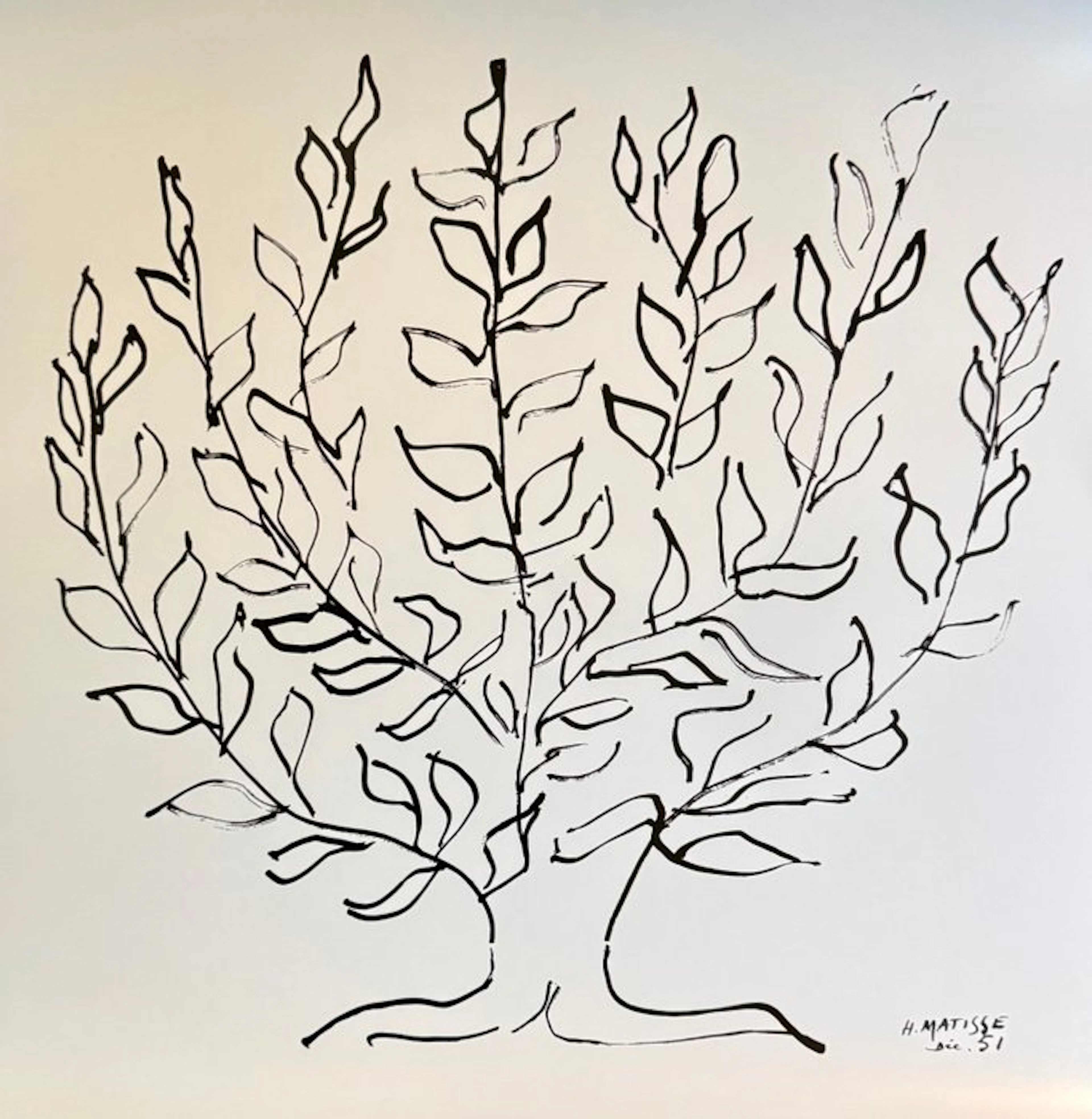 Henri Matisse (1869-1954) - "Le Platane
