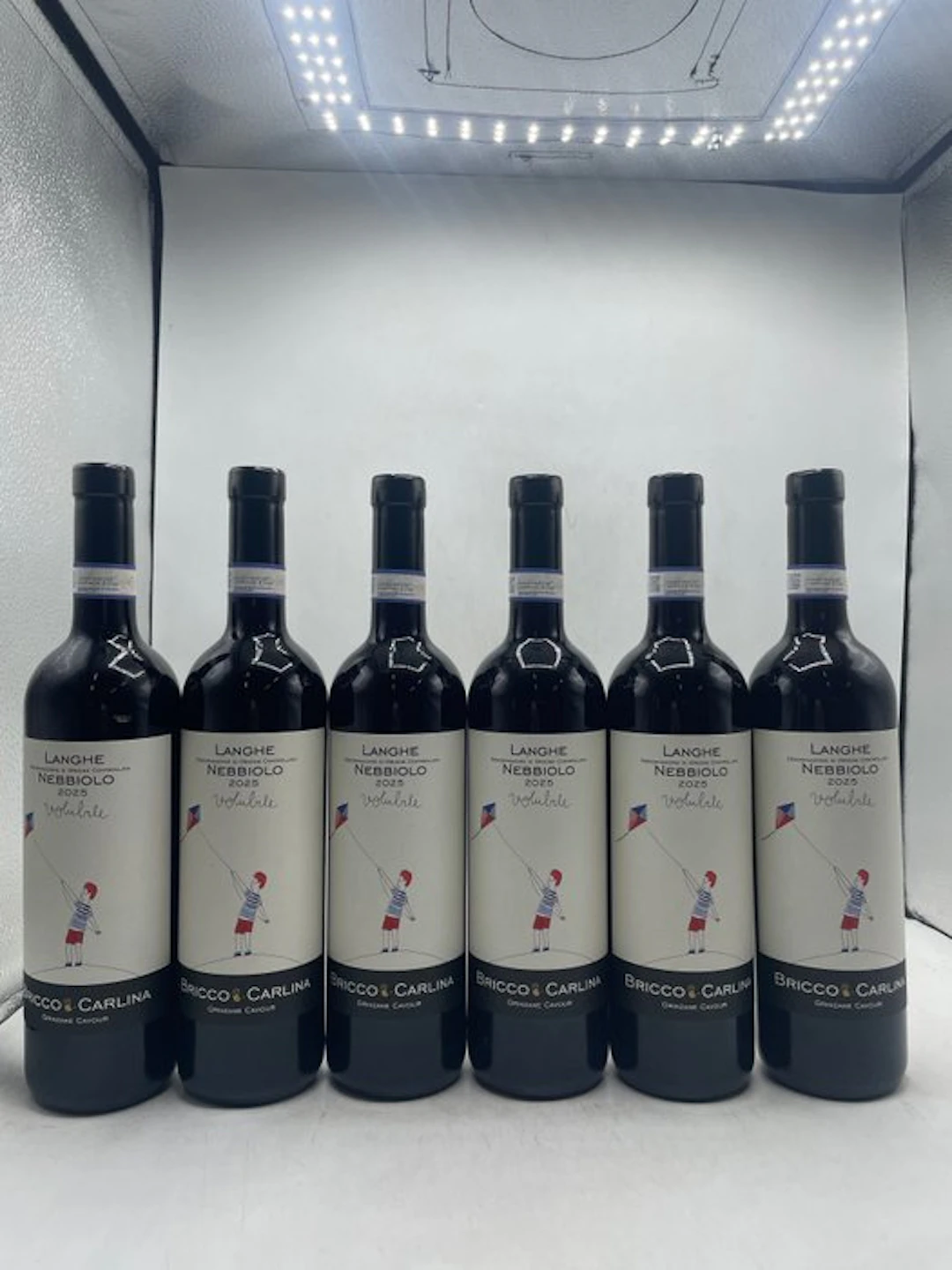 2025 Bricco Carlina Volubile Langhe Nebbiolo - Piedmont - 6 Bottles (0.75L)