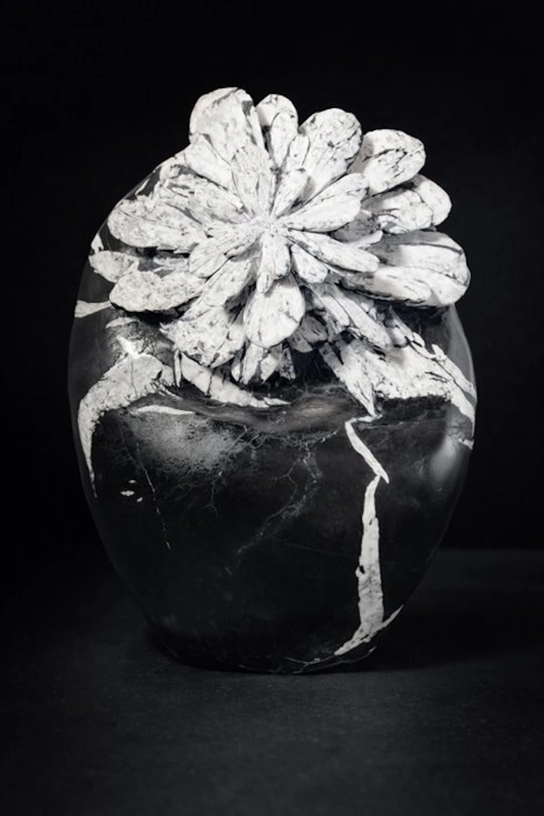 Large Multi-Layer Chrysanthemum Stone – Rare Collector’s...