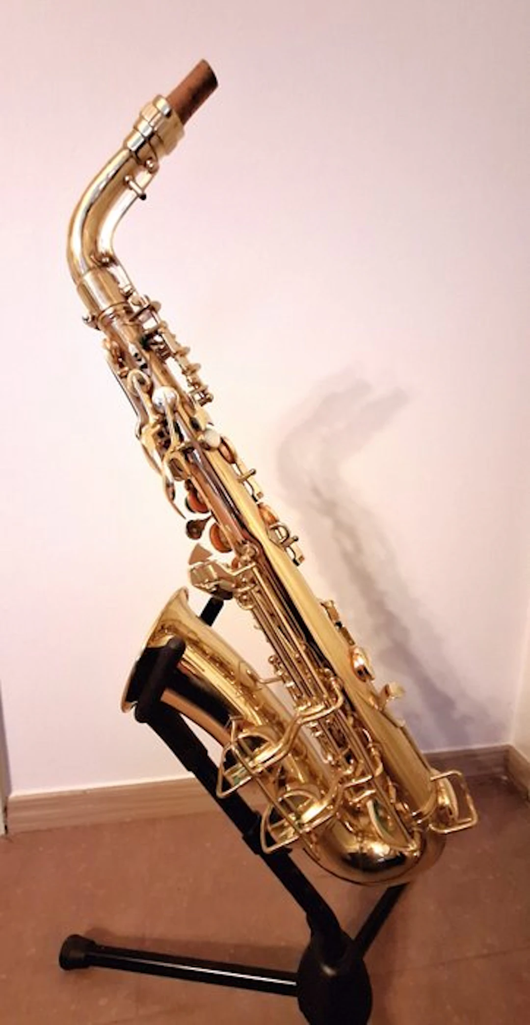C.G. Conn - Conn 6M Naked Lady/ Ladyface - - Alto...