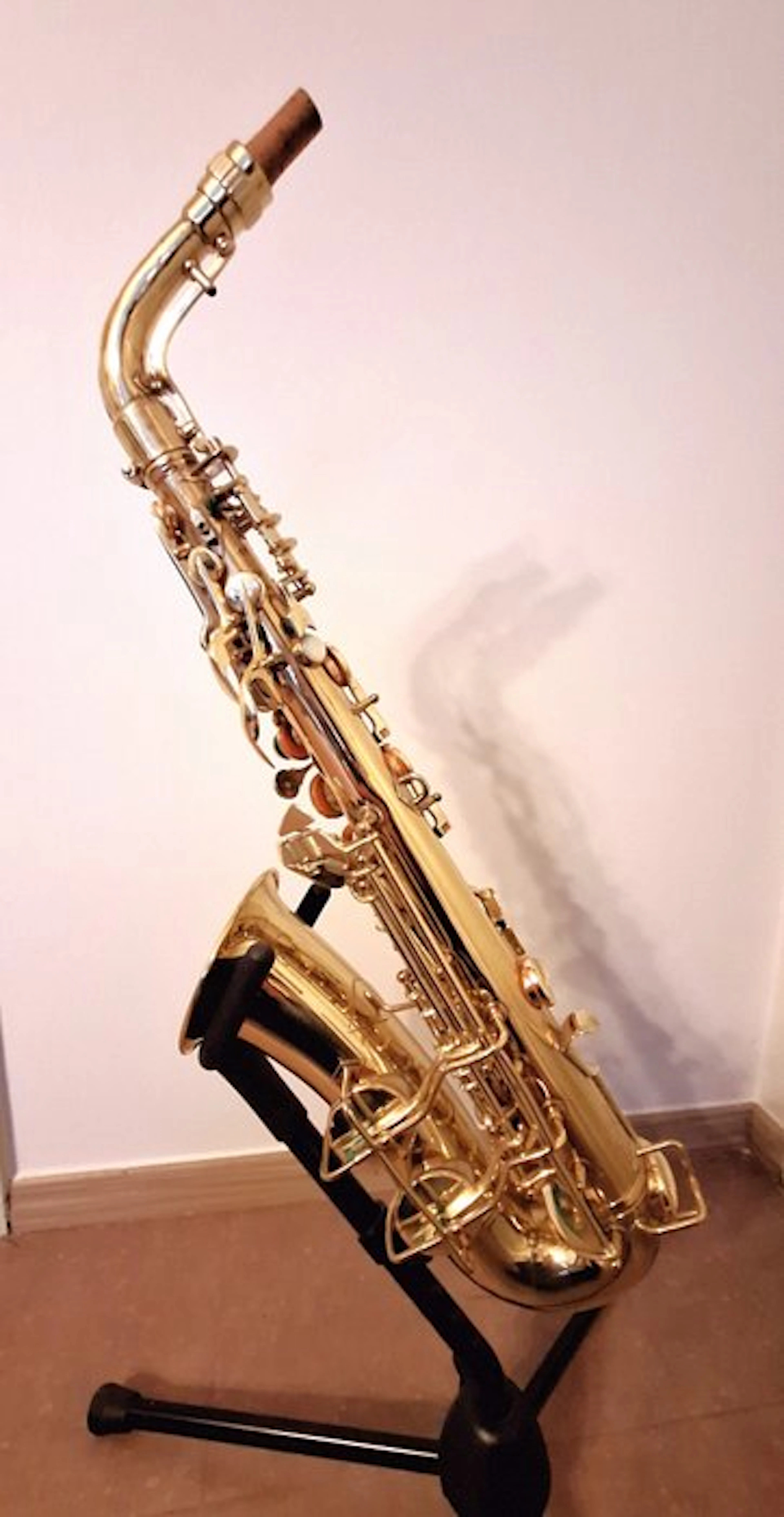 C.G. Conn - Conn 6M Naked Lady/ Ladyface - - Alto...