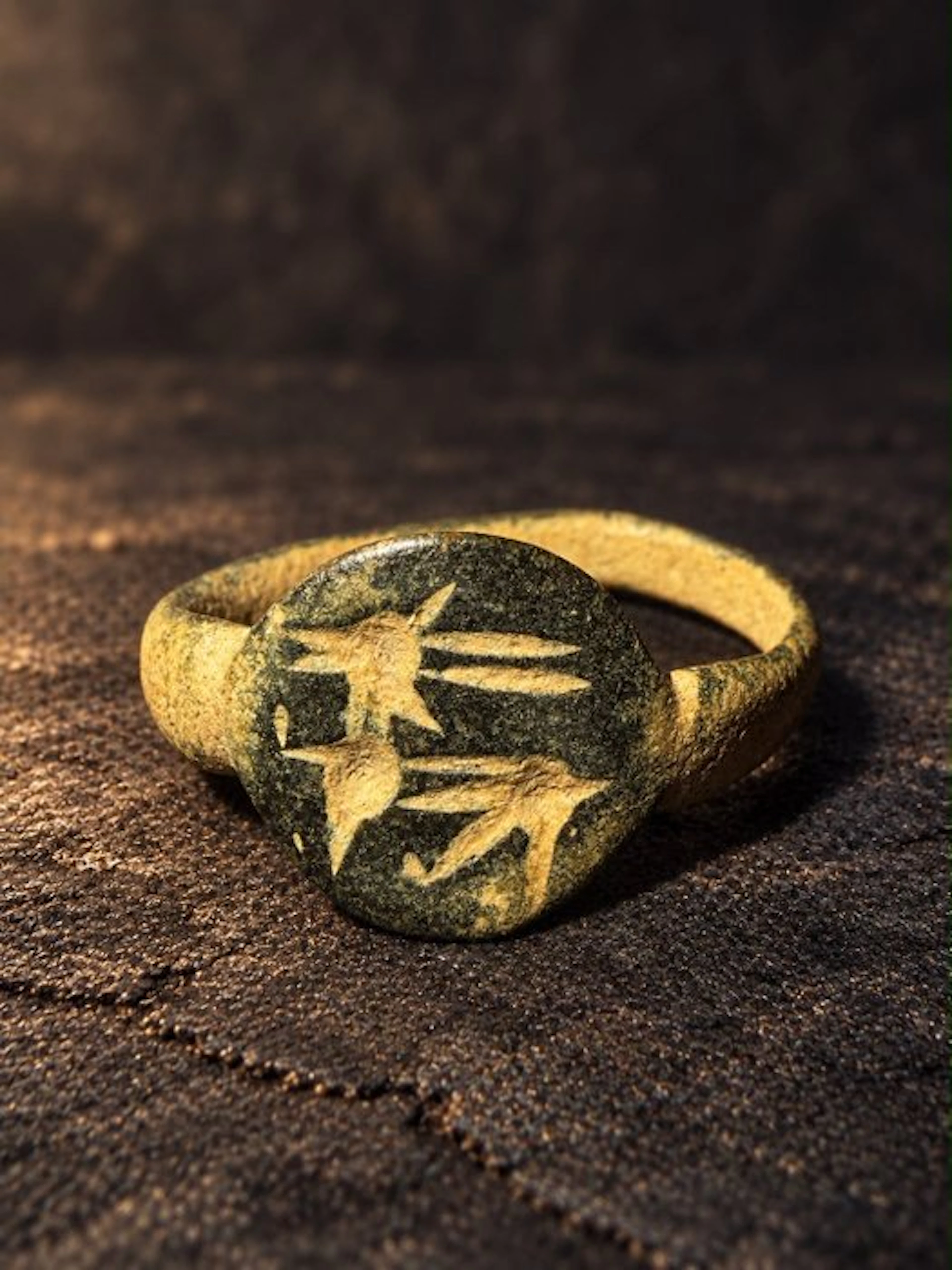 Celtic Bronze Symbol of Resilience — Celtic Bronze Ibex...