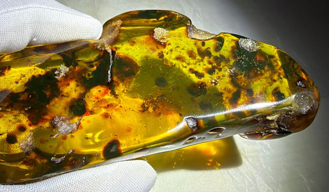 Dominican Amber!! AAA Quality!!- 117.82 g