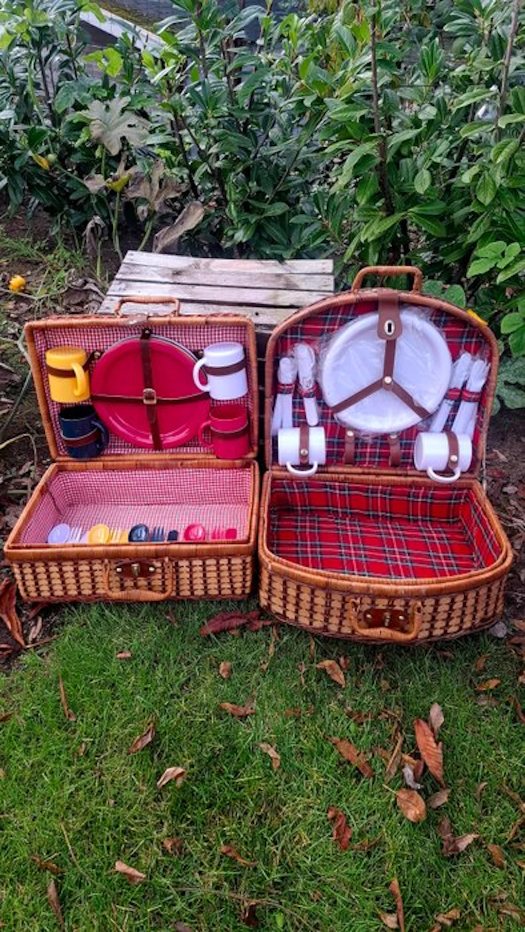 Picnic basket (2) - Rattan, Plastic - Four-person capacity.