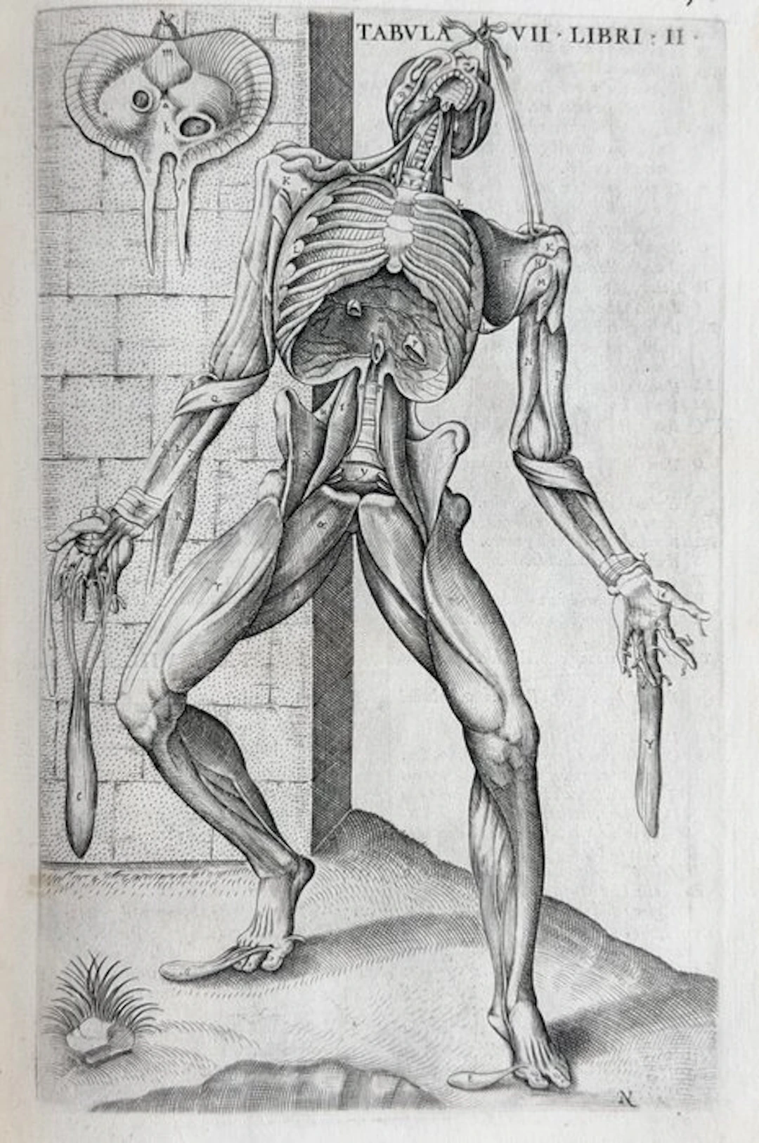 Valverde - La anatomia del corpo umano - 1586
