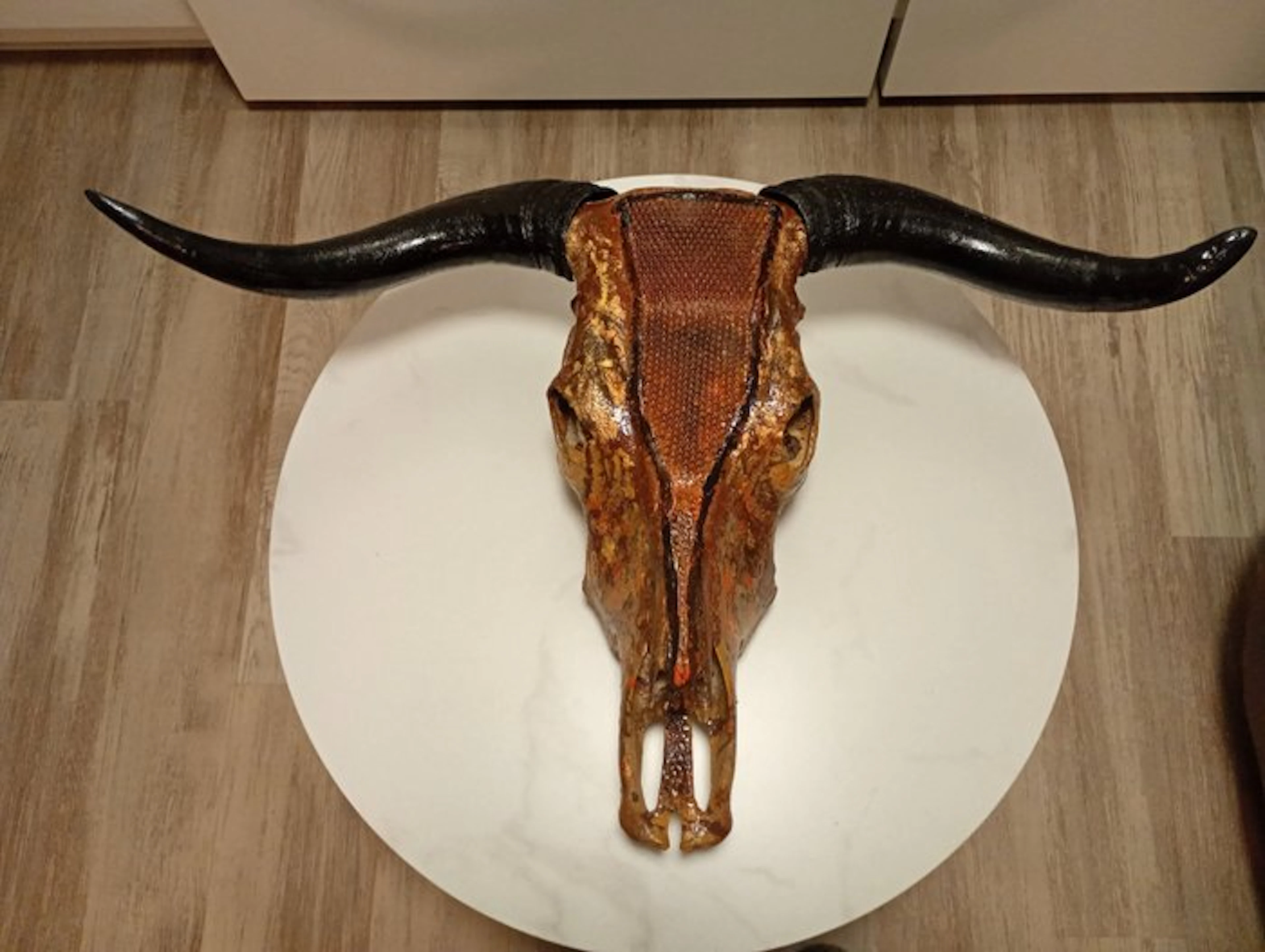 Cow Mammal skull - Bos taurus - 30 cm - 90 cm - 60 cm - (1)