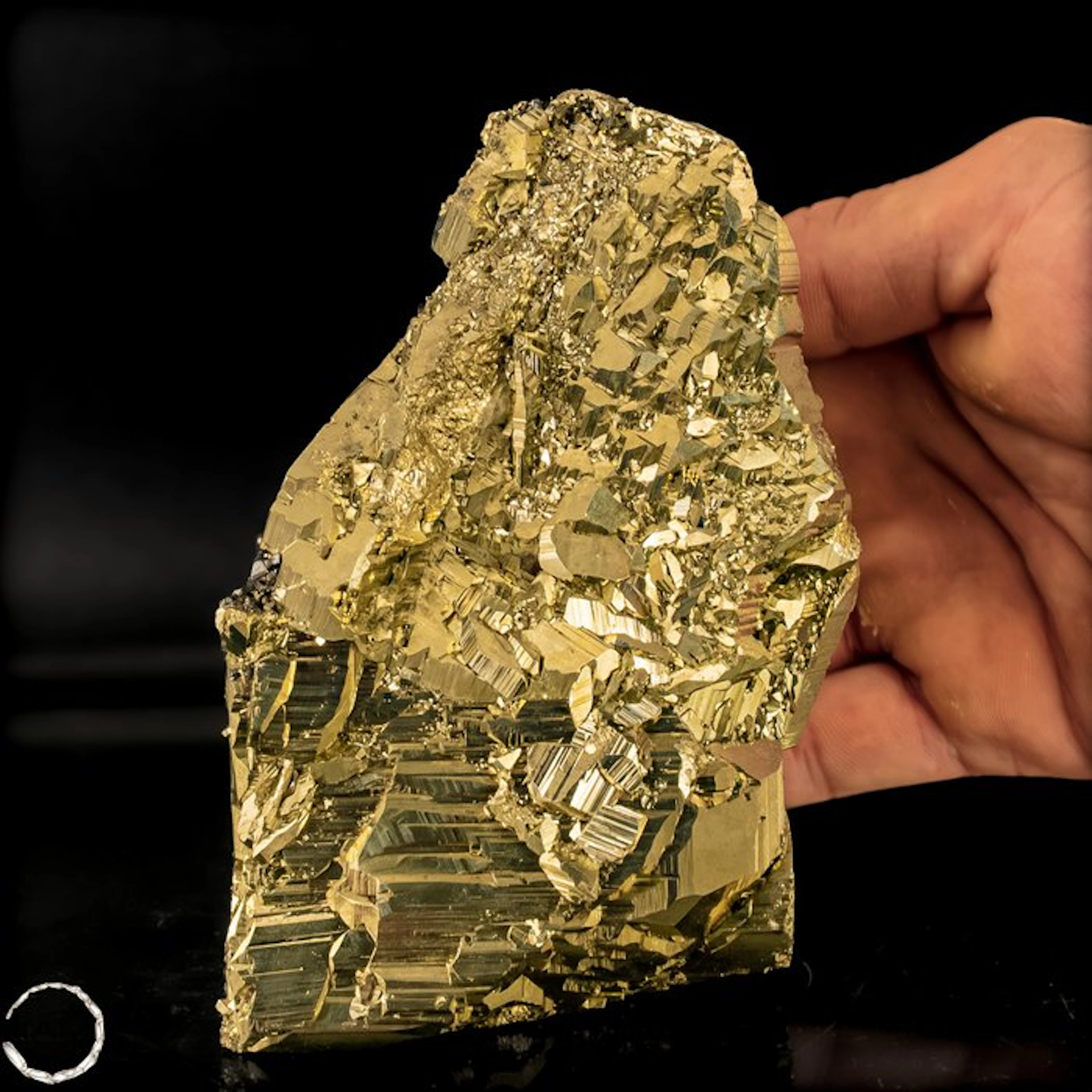 First Quality Natural Golden Pyrite Cubes with Quartz and Galena- 860.52 g
