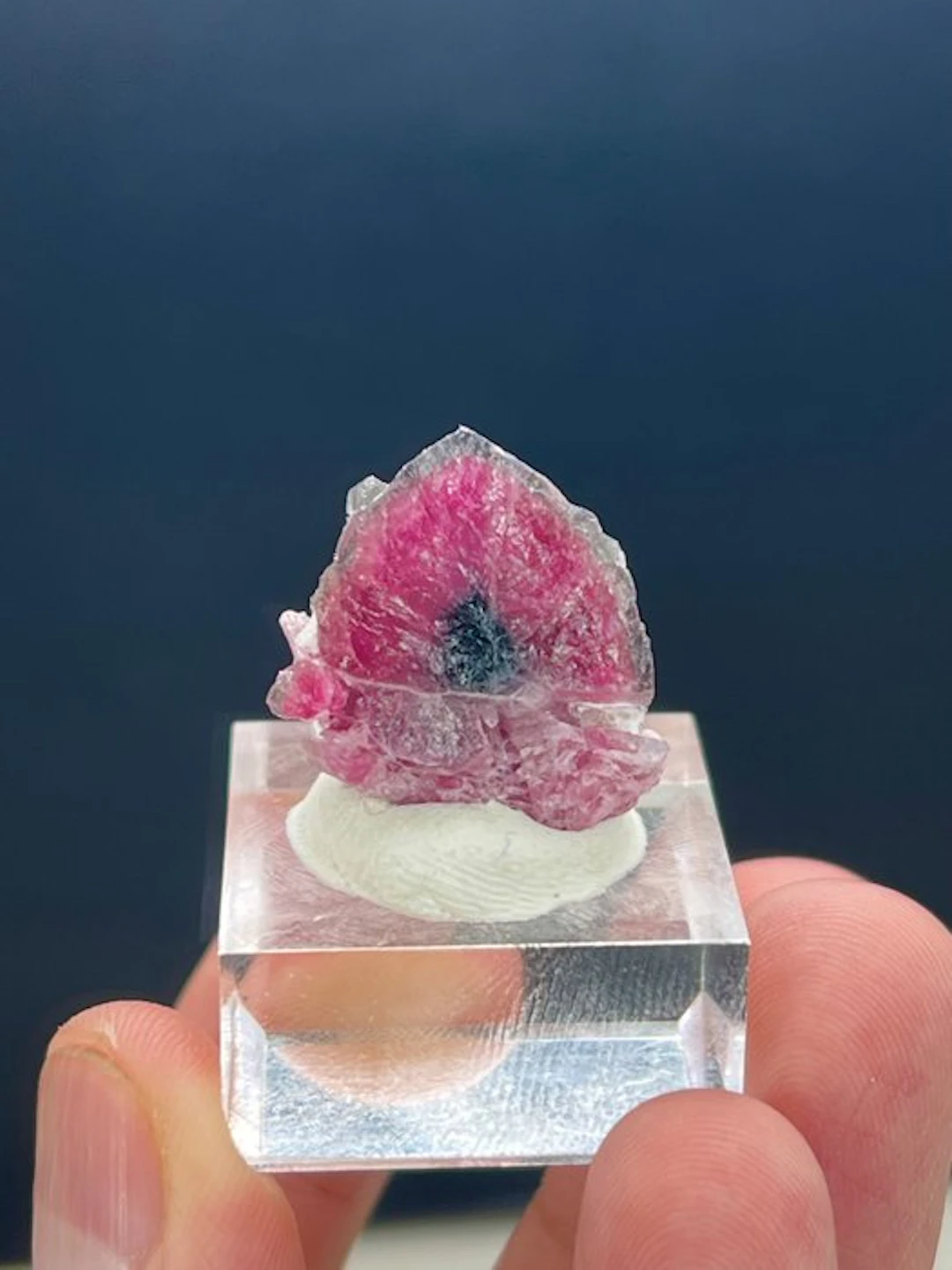 Bicolour tourmaline Slices - Height: 20 mm - Width: 16 mm- 11 g - (1)