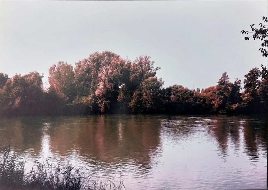 Abbas Gharib - Trees (Alberi)